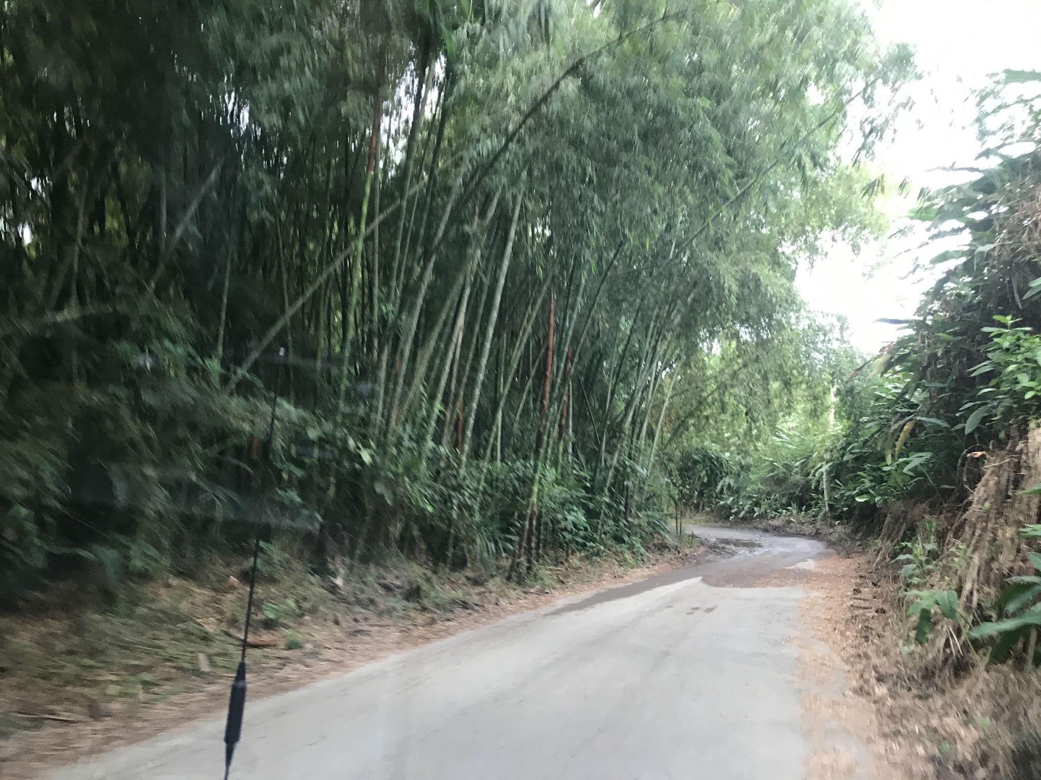 Street view near Sede CSFM, Montenegro — © hj6f (CC BY-SA · Mapillary)