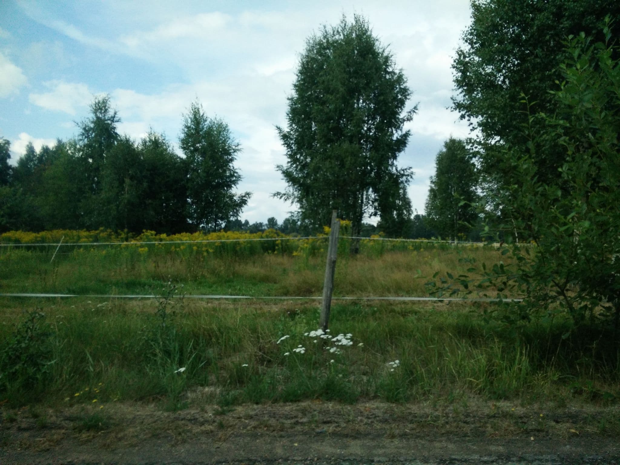 Street view near Holidayhome Andersfolk, Hagfors — © mojmoj (CC BY-SA · Mapillary)