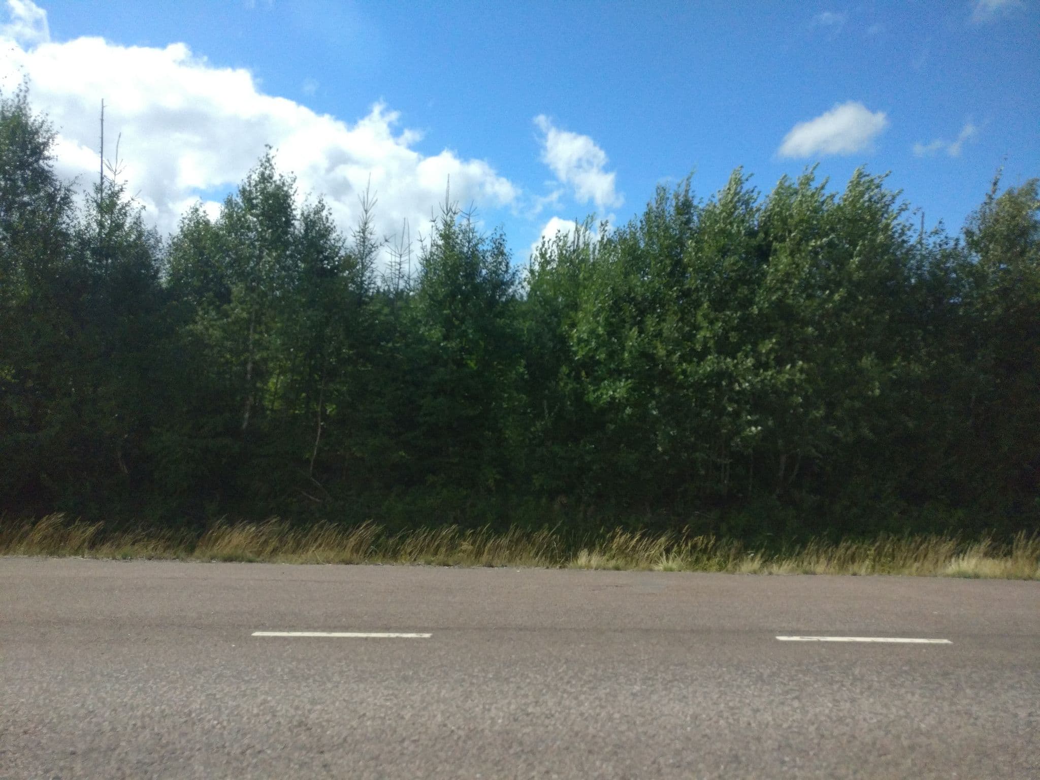 Street view near In2Sweden, Ekshärad — © mojmoj (CC BY-SA · Mapillary)