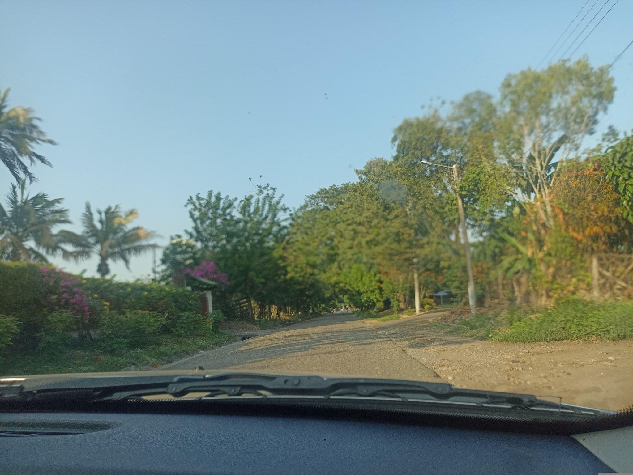Street view near finca Rubén, Falan — © ljtoro (CC BY-SA · Mapillary)