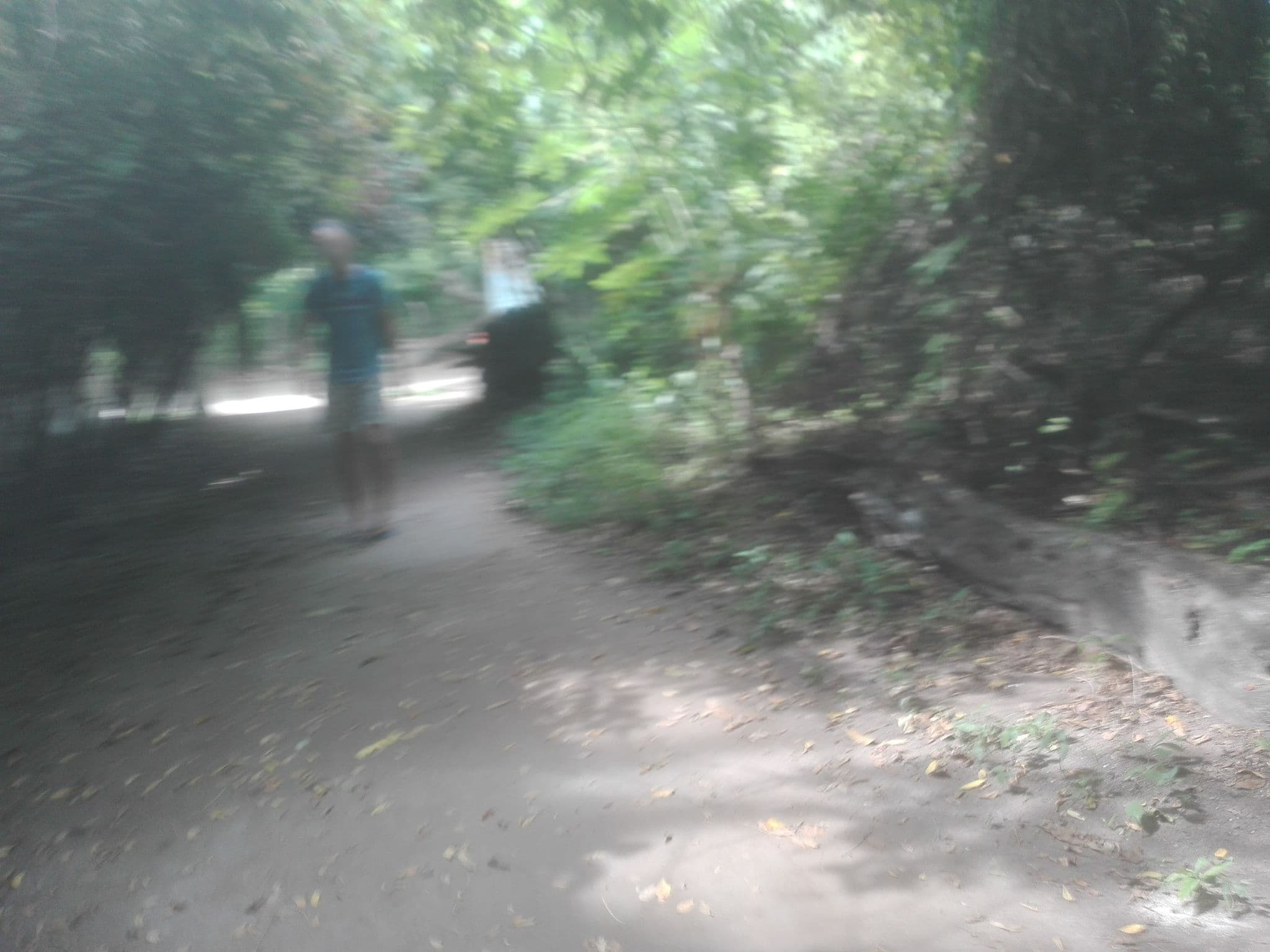 Street view near EcoHotel Campo Verde, Turbaná — © hyances (CC BY-SA · Mapillary)