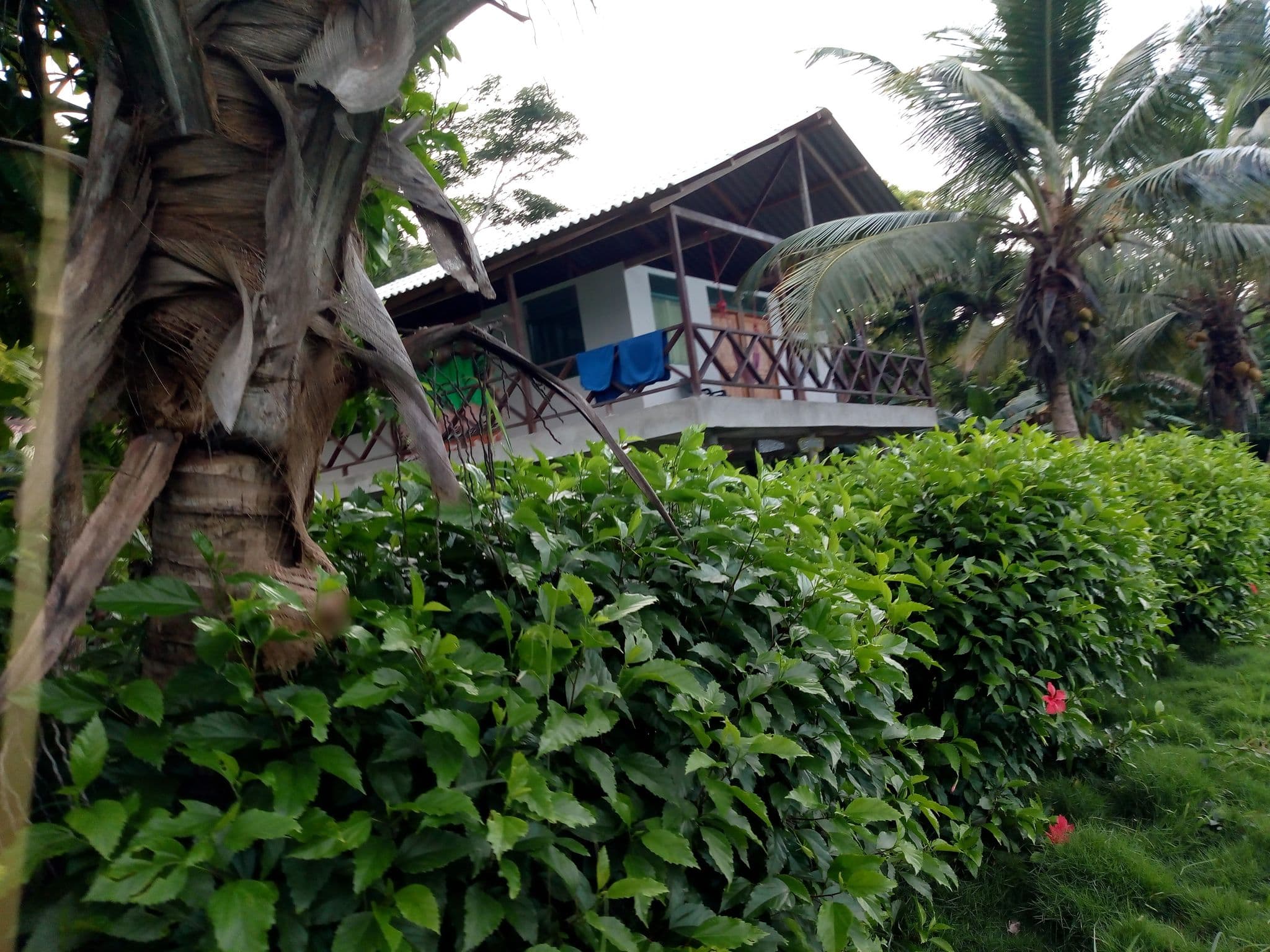Street view near El chileno, Capurganá — © kleper (CC BY-SA · Mapillary)