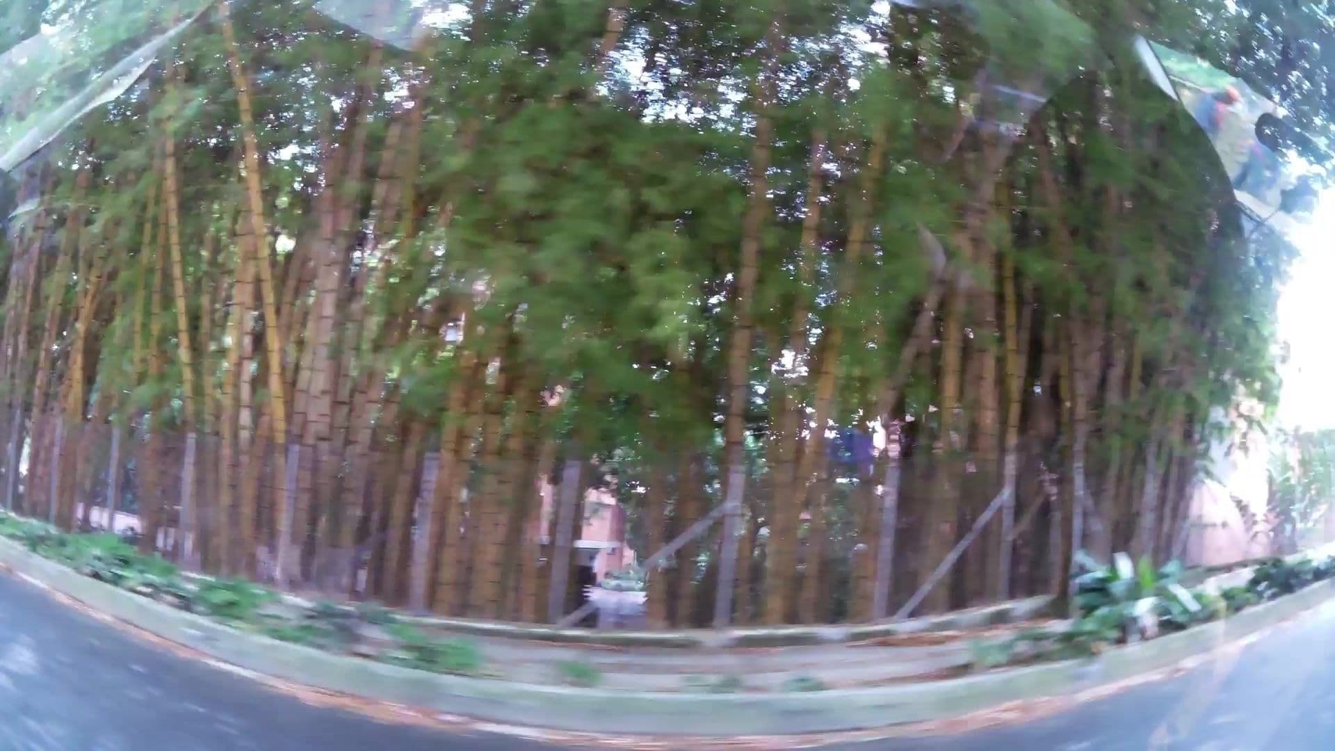 Street view near Font Living, Medellín