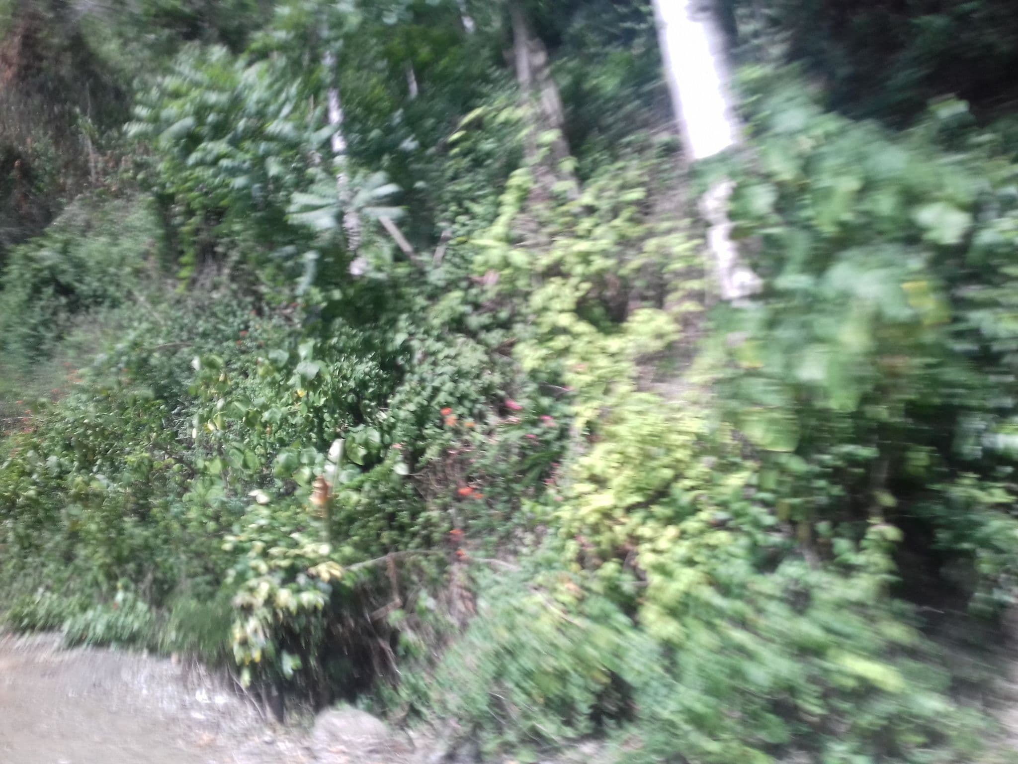 Street view near Hotel Riomar, La Pintada — © colombia_tour (CC BY-SA · Mapillary)