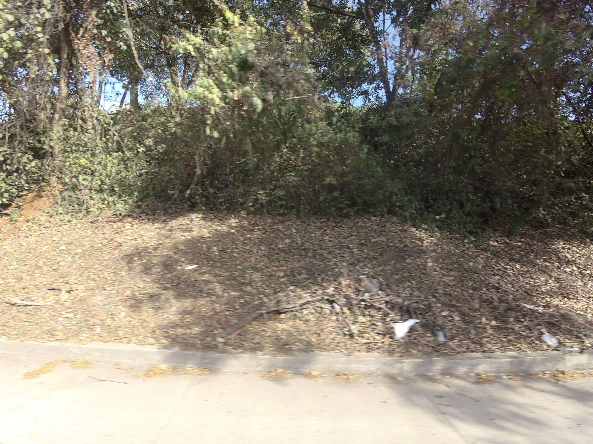 Street view near San Jose Teal Villeta, Villeta — © angoca (CC BY-SA · Mapillary)