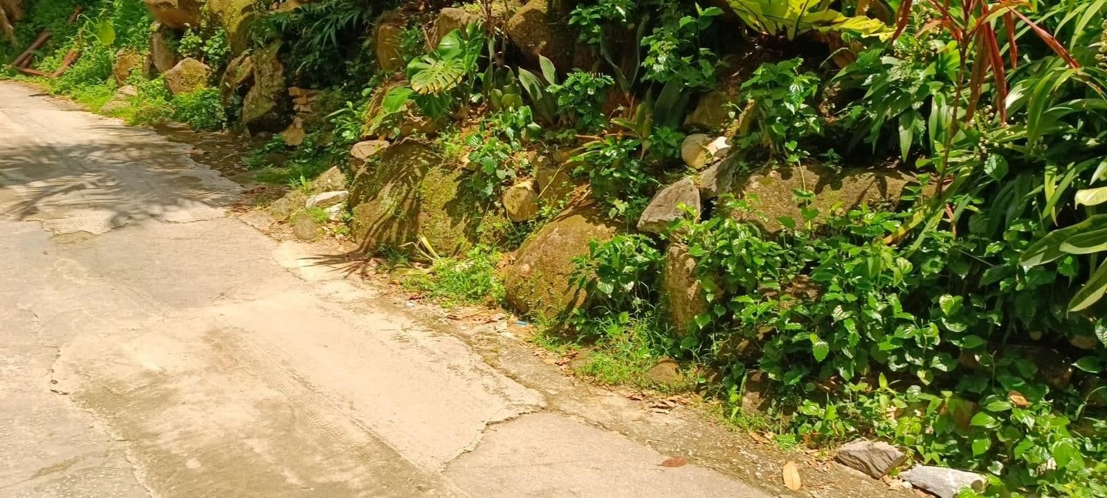 Street view near 宗芹苑 Zong Qin Garden, Kampung Pondok Upih — © SamTew (CC BY-SA · Mapillary)