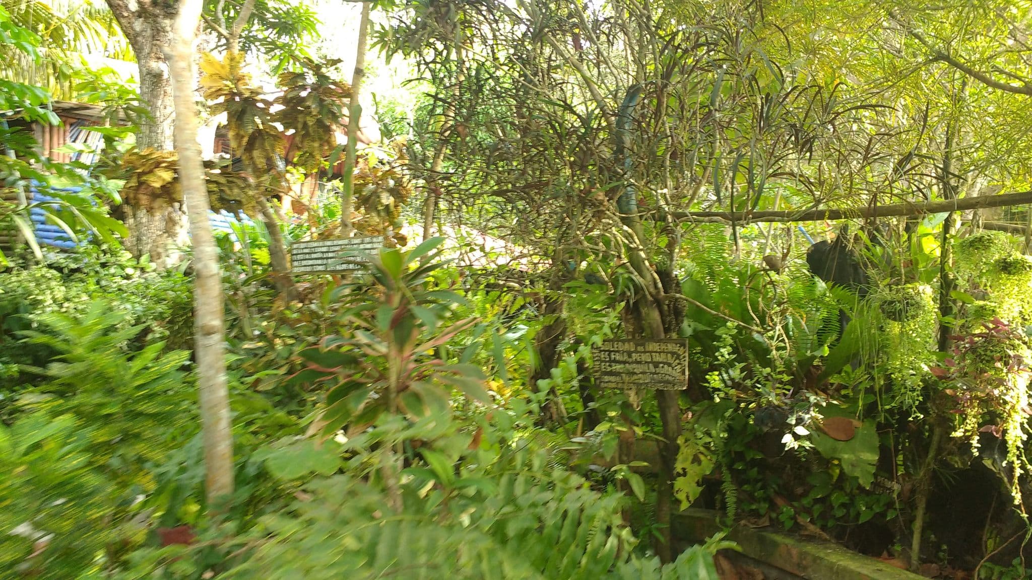 Street view near Casa de George, Necoclí — © kleper (CC BY-SA · Mapillary)