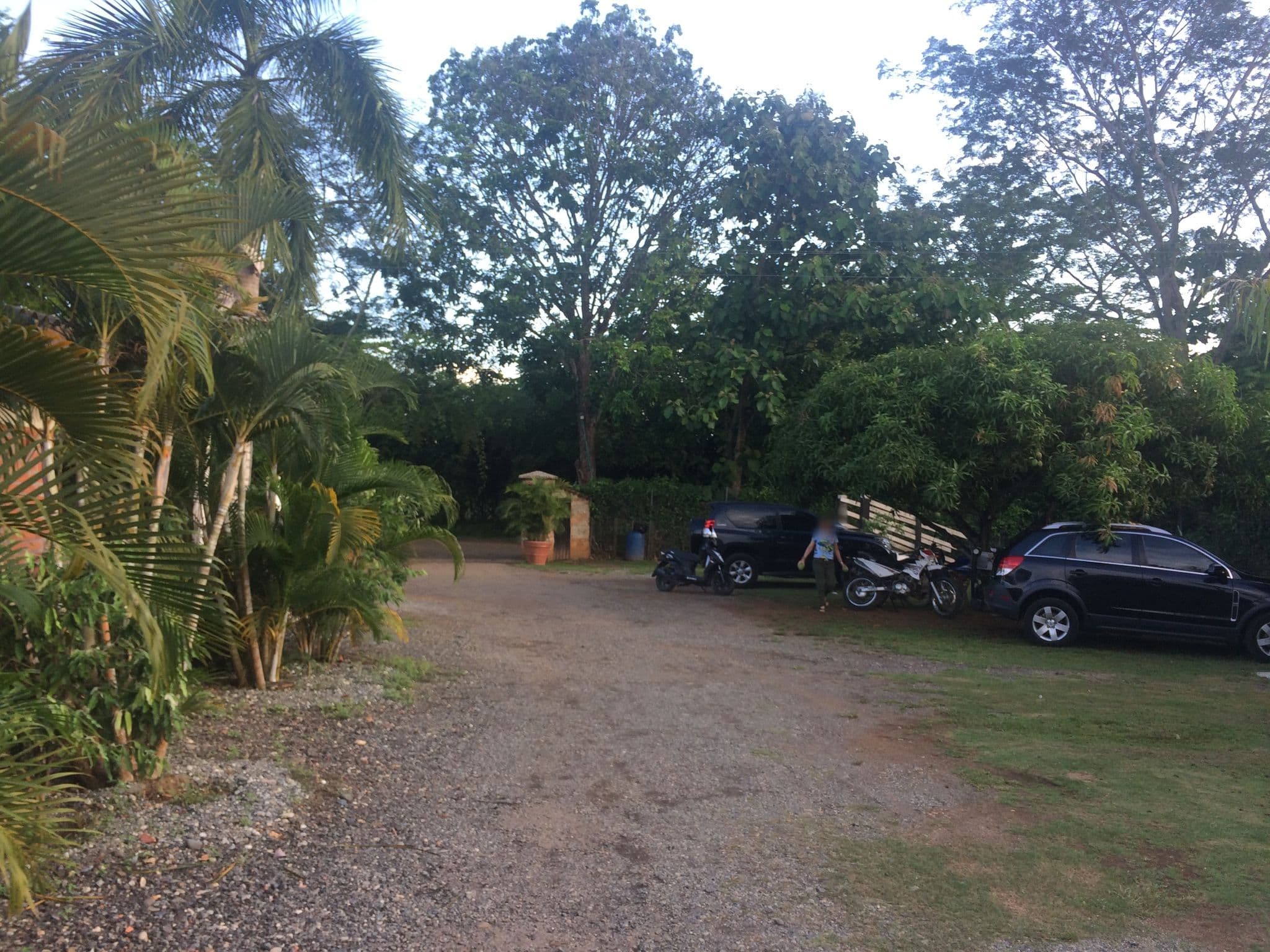 Street view near La Palma, Caucasia — © arley (CC BY-SA · Mapillary)