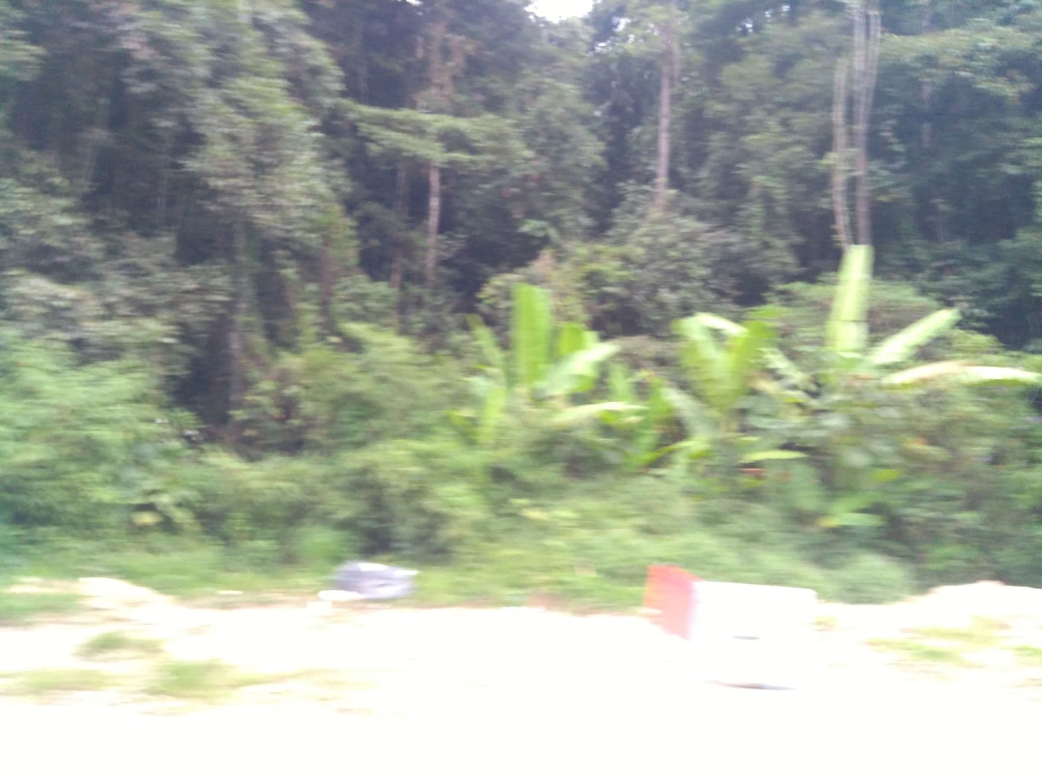 Street view near 13th Floor, Brinchang โ ยฉ remonet (CC BY-SA ยท Mapillary)