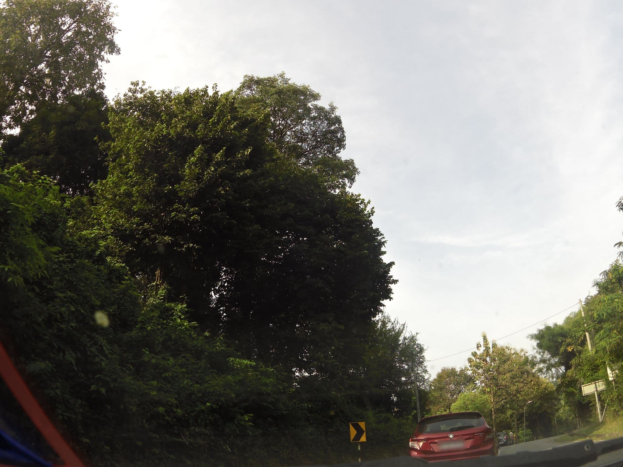 Street view near Room 1262, Kuala Teriang — © skillsy (CC BY-SA · Mapillary)