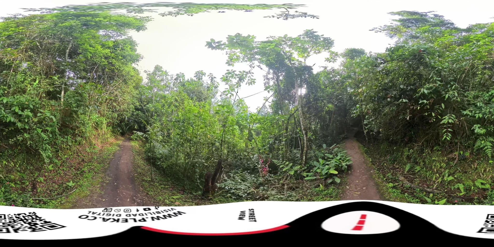 Street view near Camping Libre, Salento — © Pleka (CC BY-SA · Mapillary)