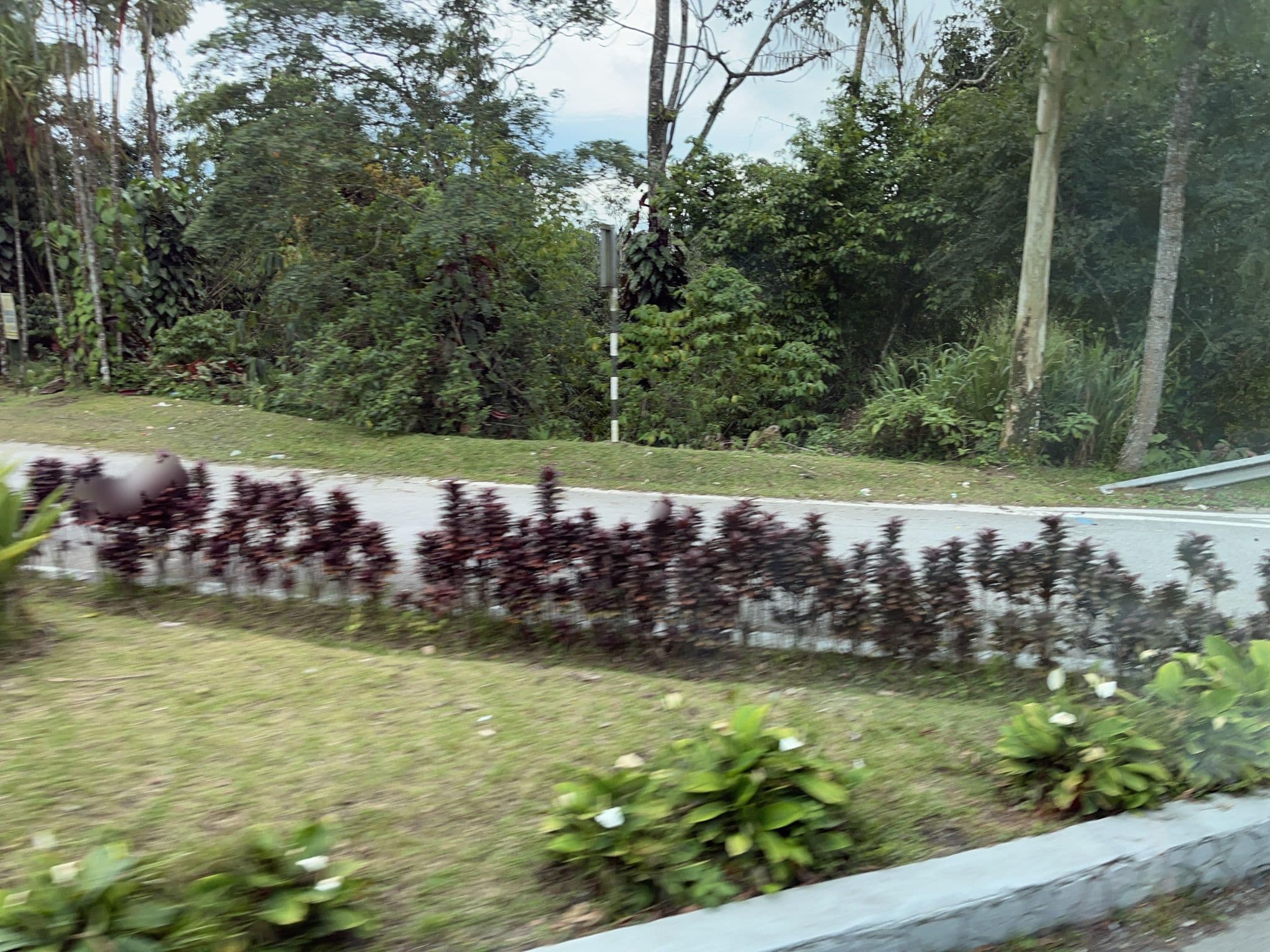 Street view near Hotel Theme Park, Kampung Bukit Tinggi, Bentong — © DriveWithHoang (CC BY-SA · Mapillary)