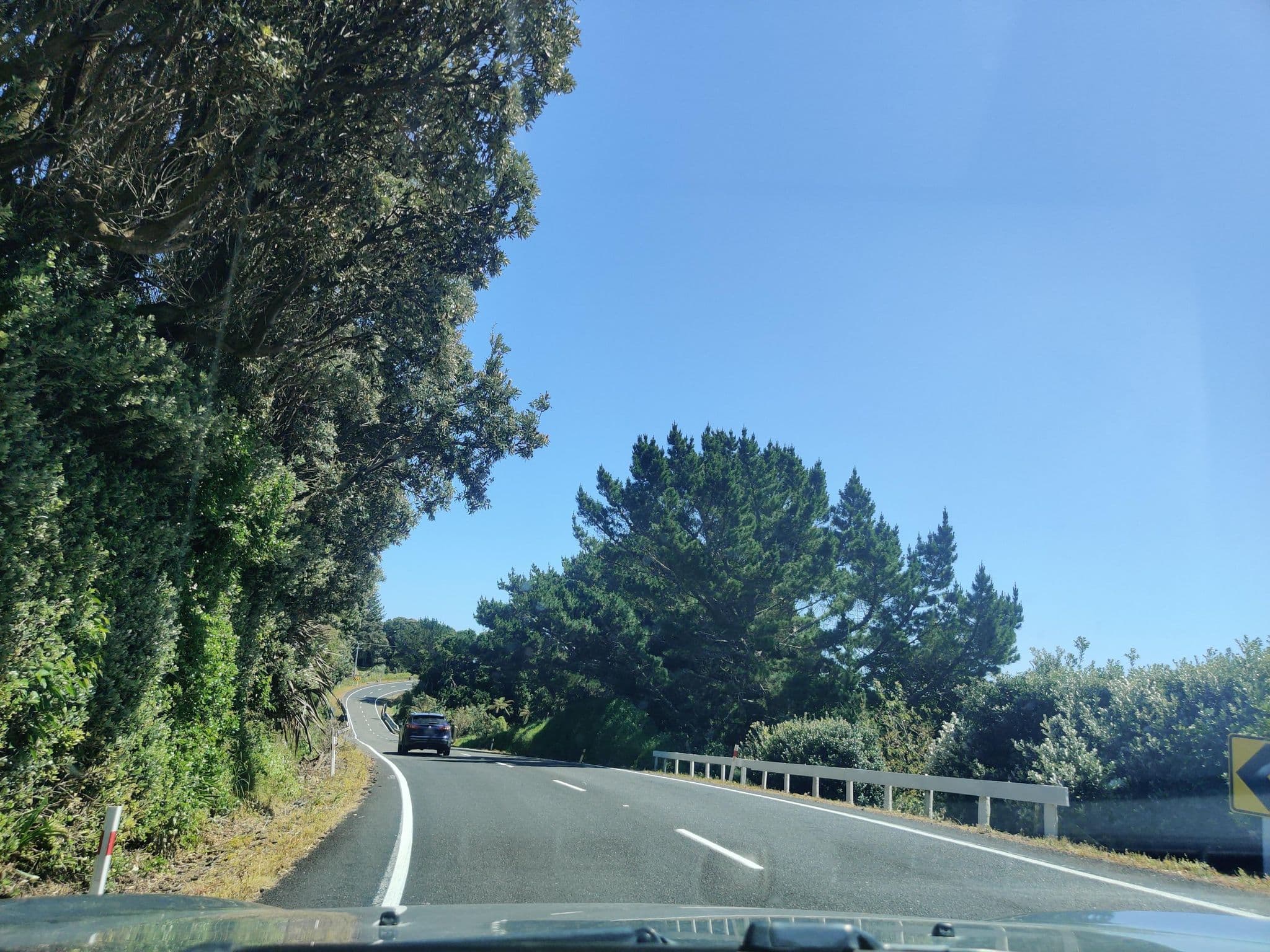 Street view near Pihama Lavendar, Opunake — © elphix (CC BY-SA · Mapillary)