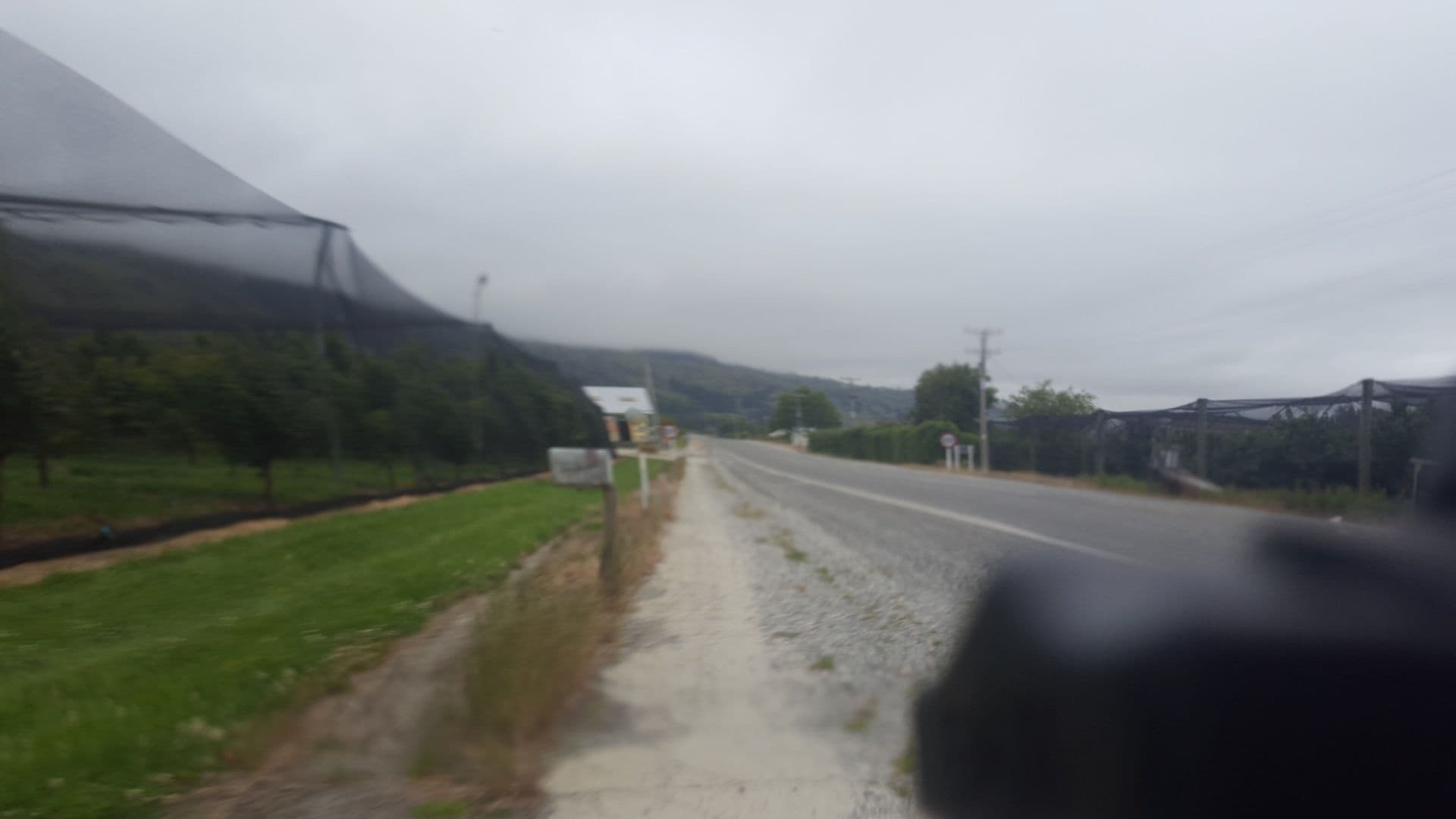 Street view near Goldenview Orchard, Alexandra — © roadroid (CC BY-SA · Mapillary)