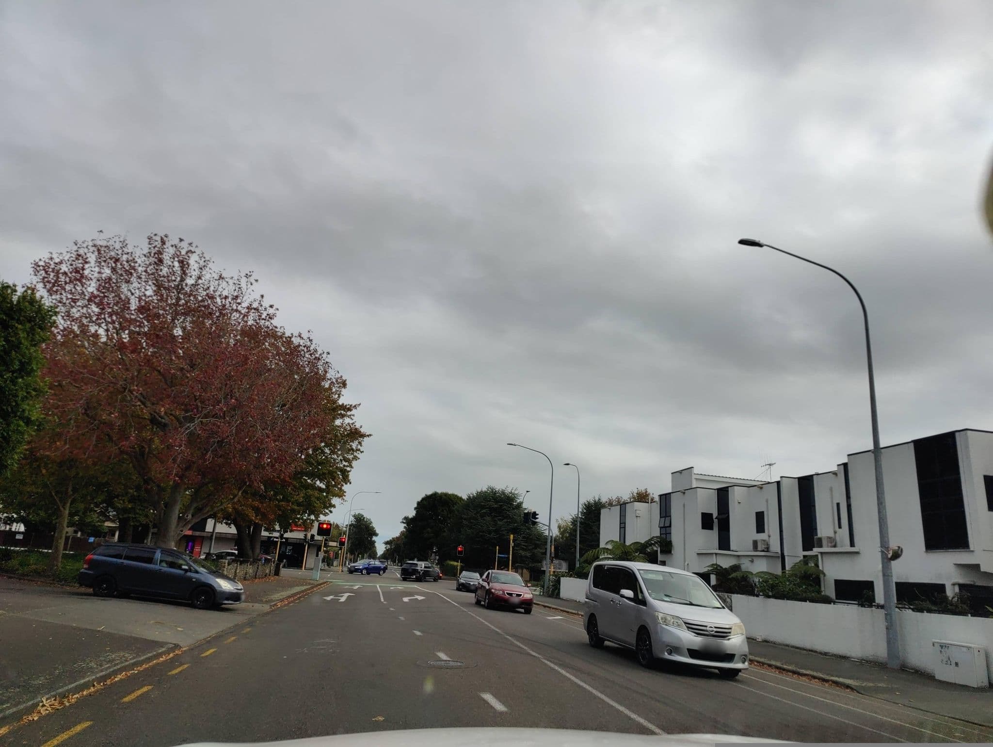 Street view near Shadzz Motel Palmerston North, Palmerston North — © elphix (CC BY-SA · Mapillary)