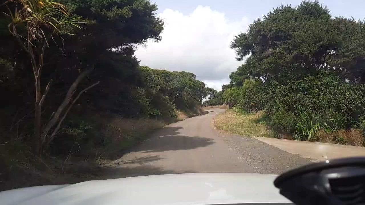 Street view near Barrelled Wines, Raglan — © roadroid (CC BY-SA · Mapillary)