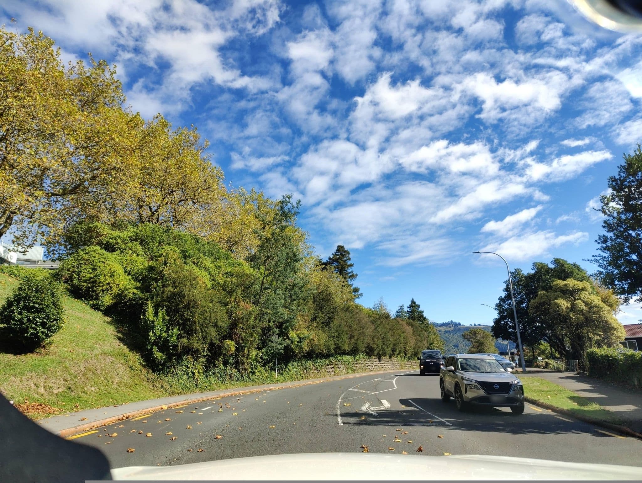 Street view near Jack & Di's Lake Road Lodge Rotorua, Rotorua — © elphix (CC BY-SA · Mapillary)