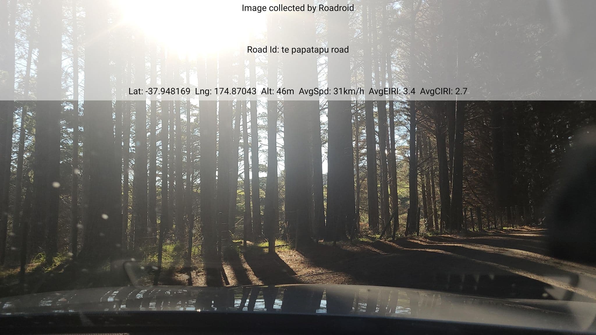 Street view near Te Papatapu, Raglan — © roadroid (CC BY-SA · Mapillary)