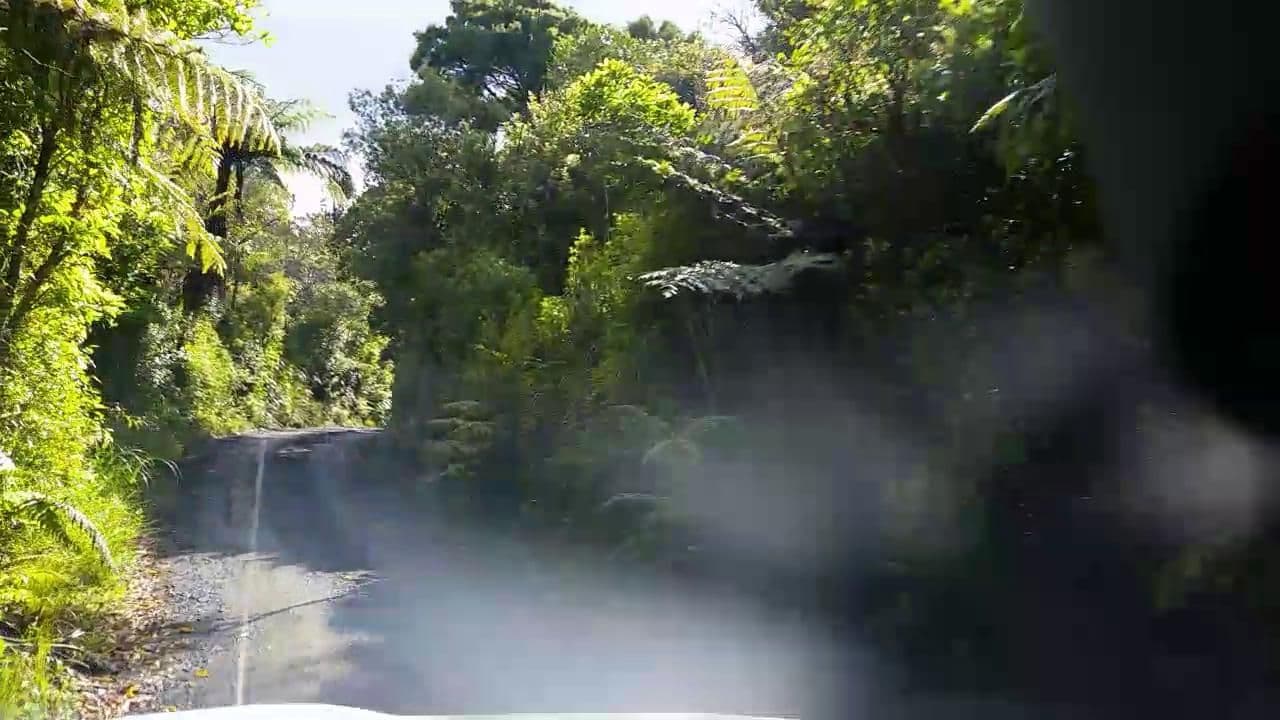 Street view near Lone Kauri Lodge Karekare, Piha — © roadroid (CC BY-SA · Mapillary)
