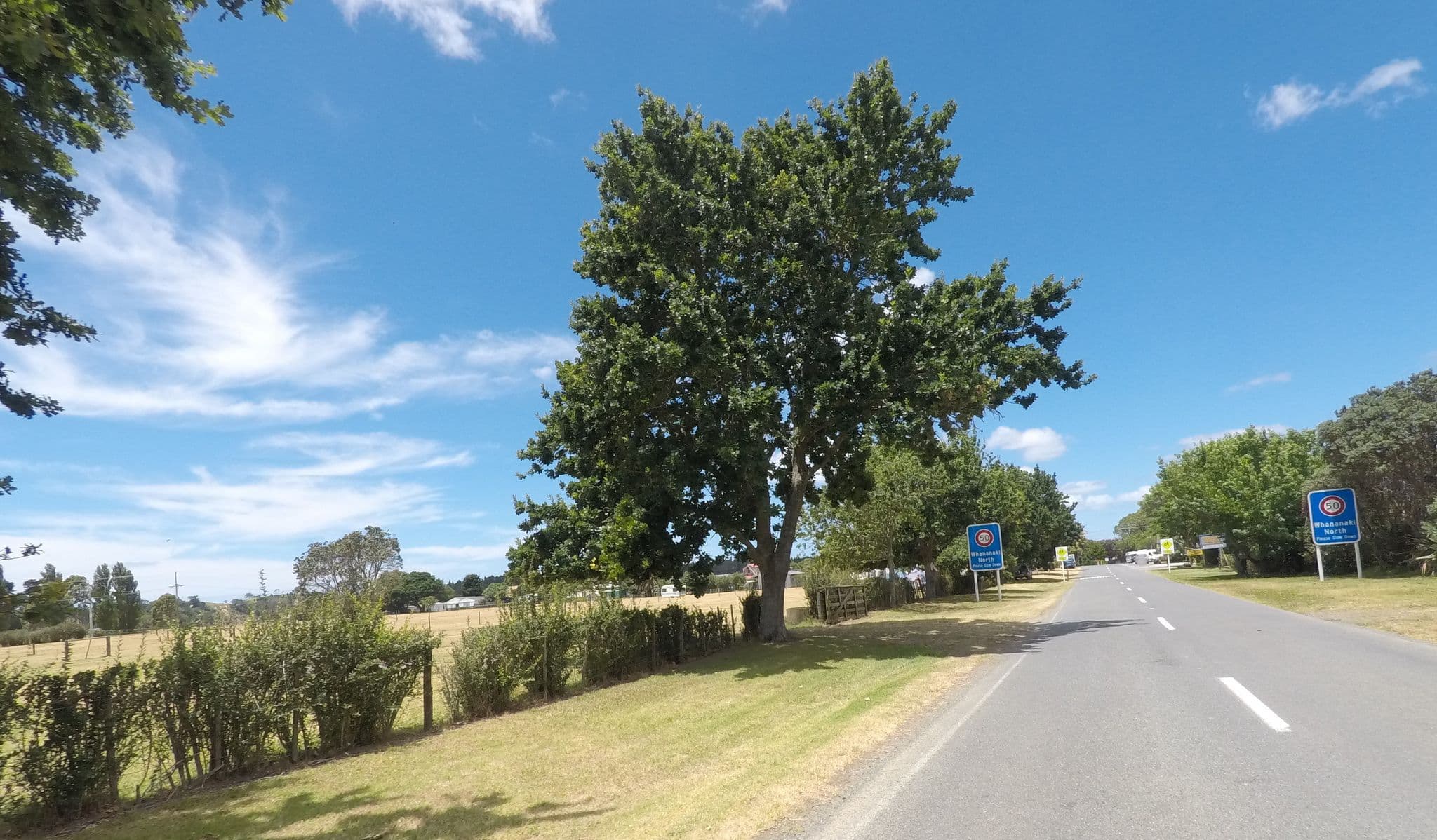 Street view near Whananaki North Motel & Holiday Park, Ngunguru — © ralley (CC BY-SA · Mapillary)