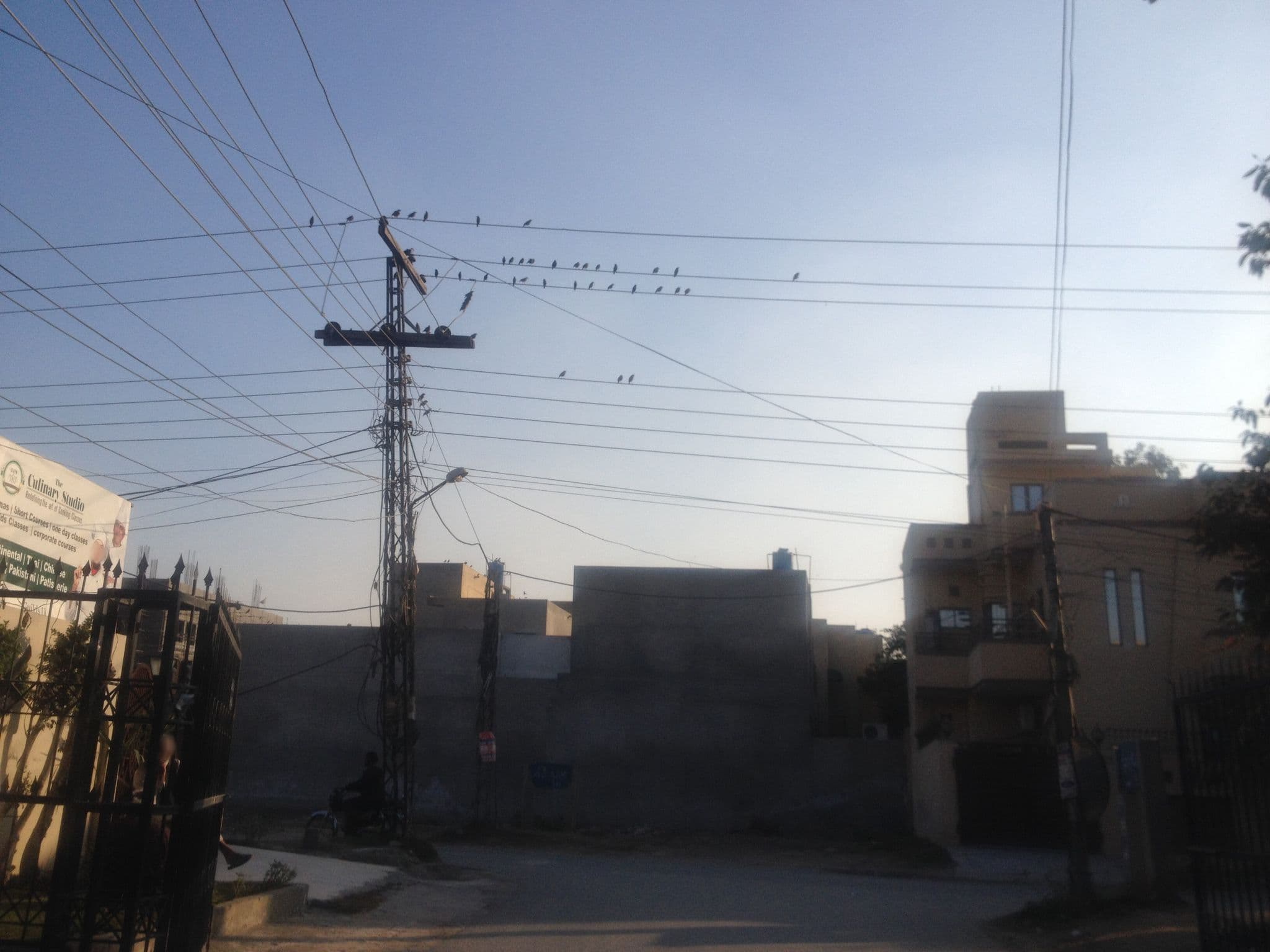 Street view near Moon Palace Hotel, Model Town — © haunt (CC BY-SA · Mapillary)