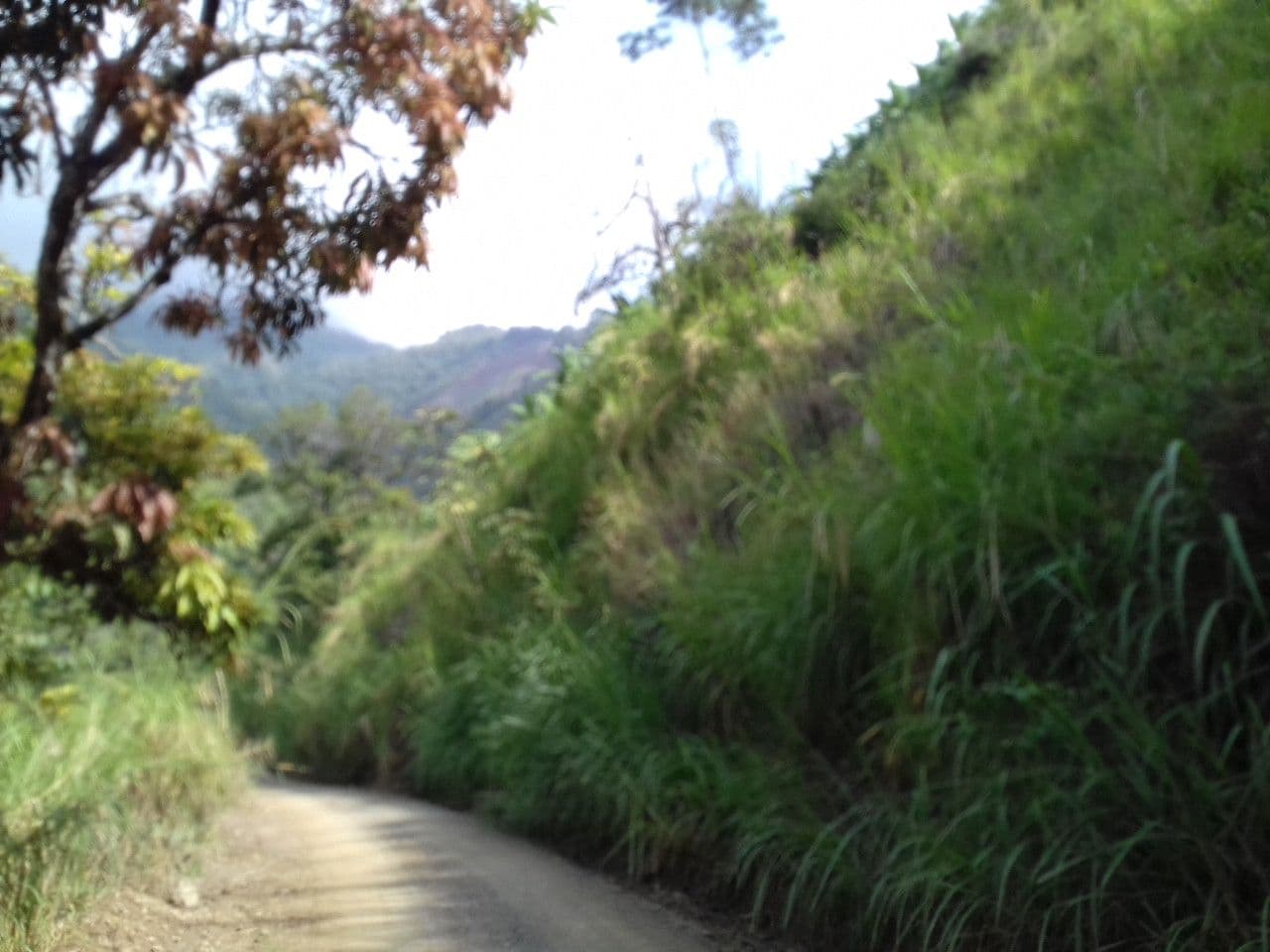 Street view near Finca Eduardo cataima, Coello — © colombia_tour (CC BY-SA · Mapillary)