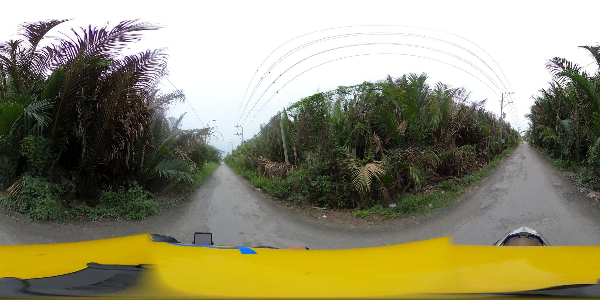 Street view near Hong vinh, Cần Giuộc — © bemaps3_sg (CC BY-SA · Mapillary)