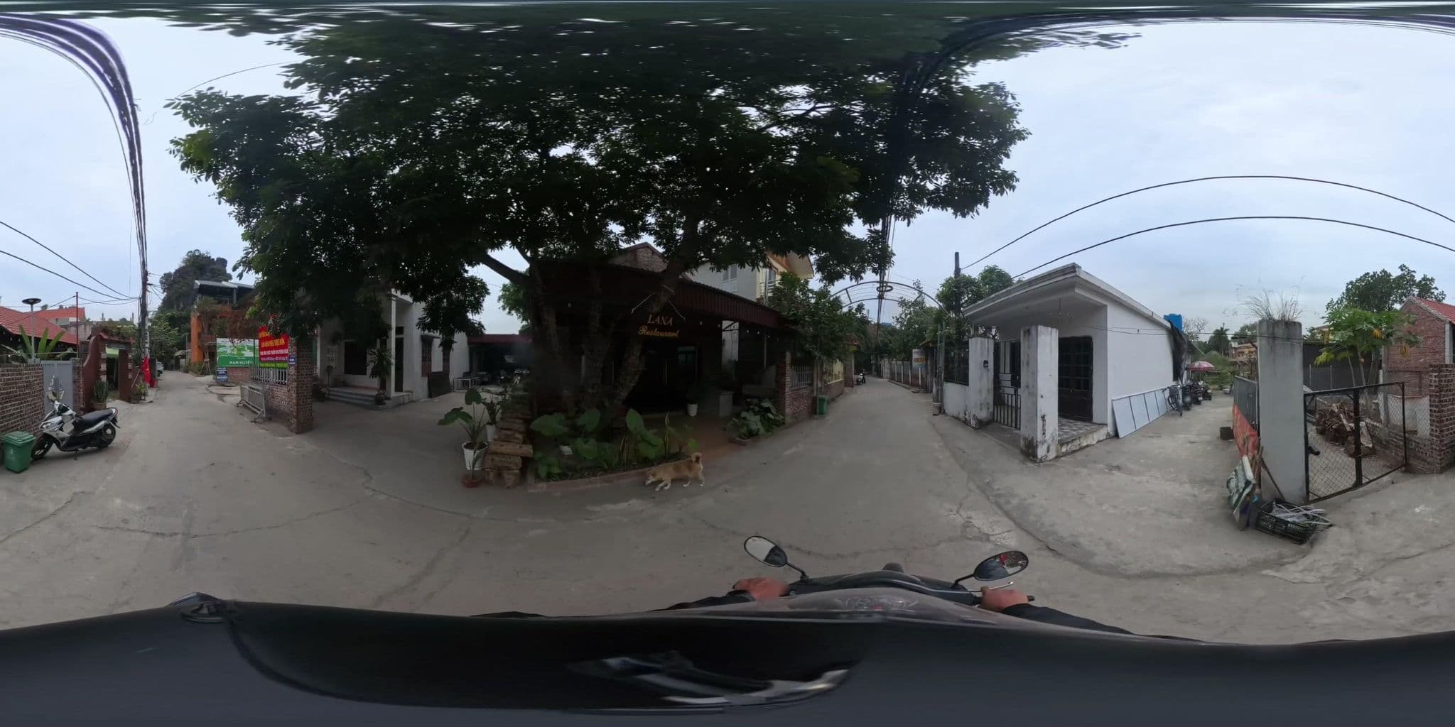 Street view near Tamcoc Memories Homestay, Ninh Bình — © Slucchesi (CC BY-SA · Mapillary)
