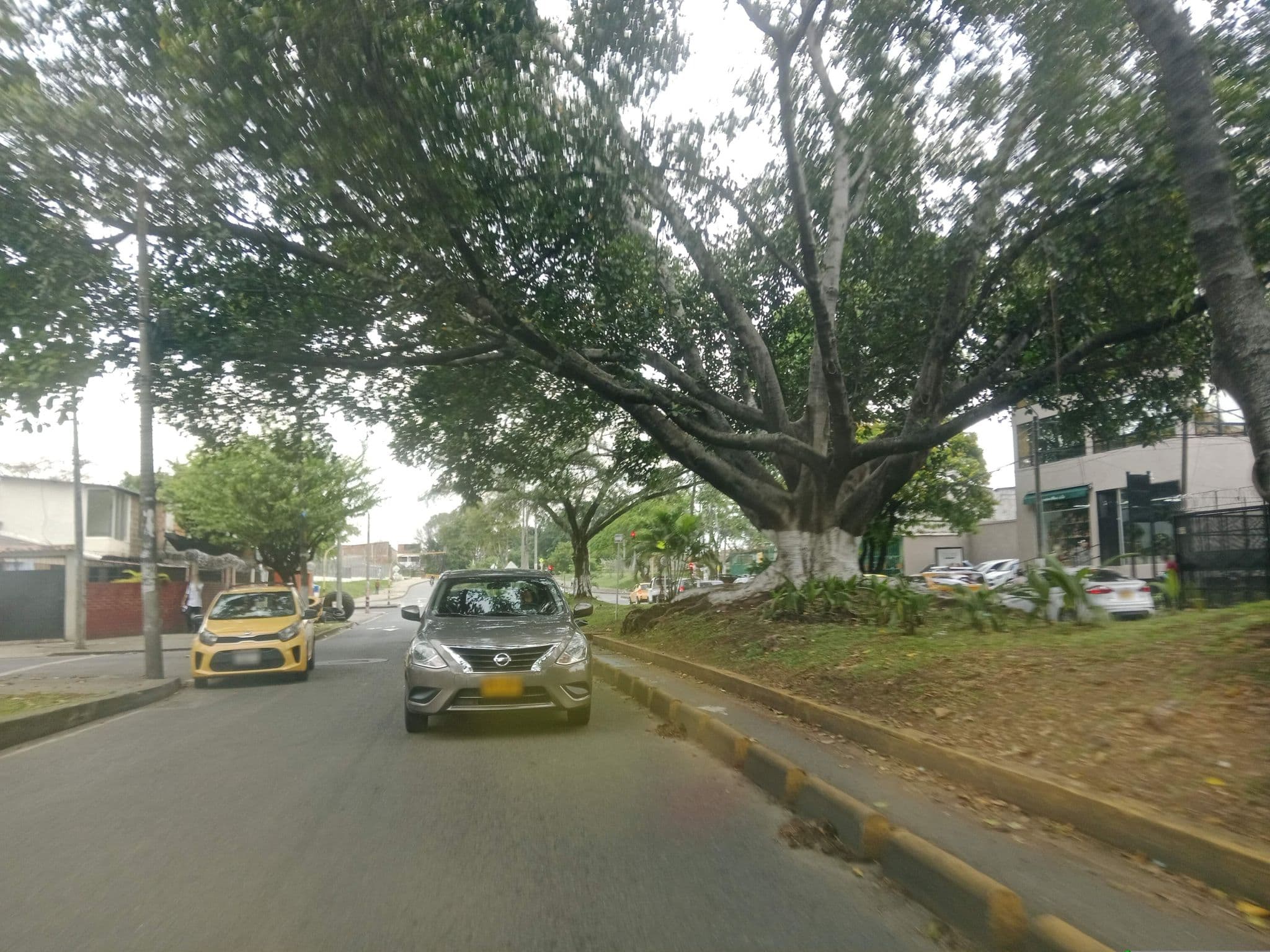 Street view near Plaza hotel norte, Cali
