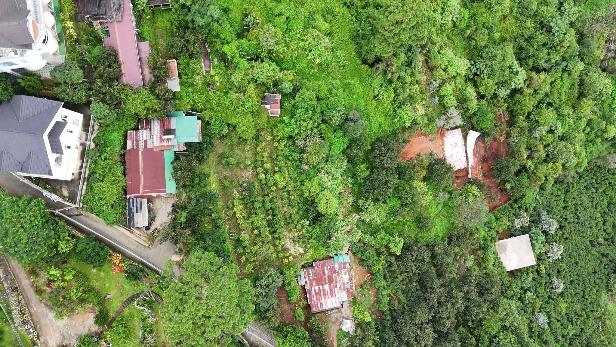 Street view near Villa An Yên Dalat, Ðà Lạt — © theonenetwork (CC BY-SA · Mapillary)