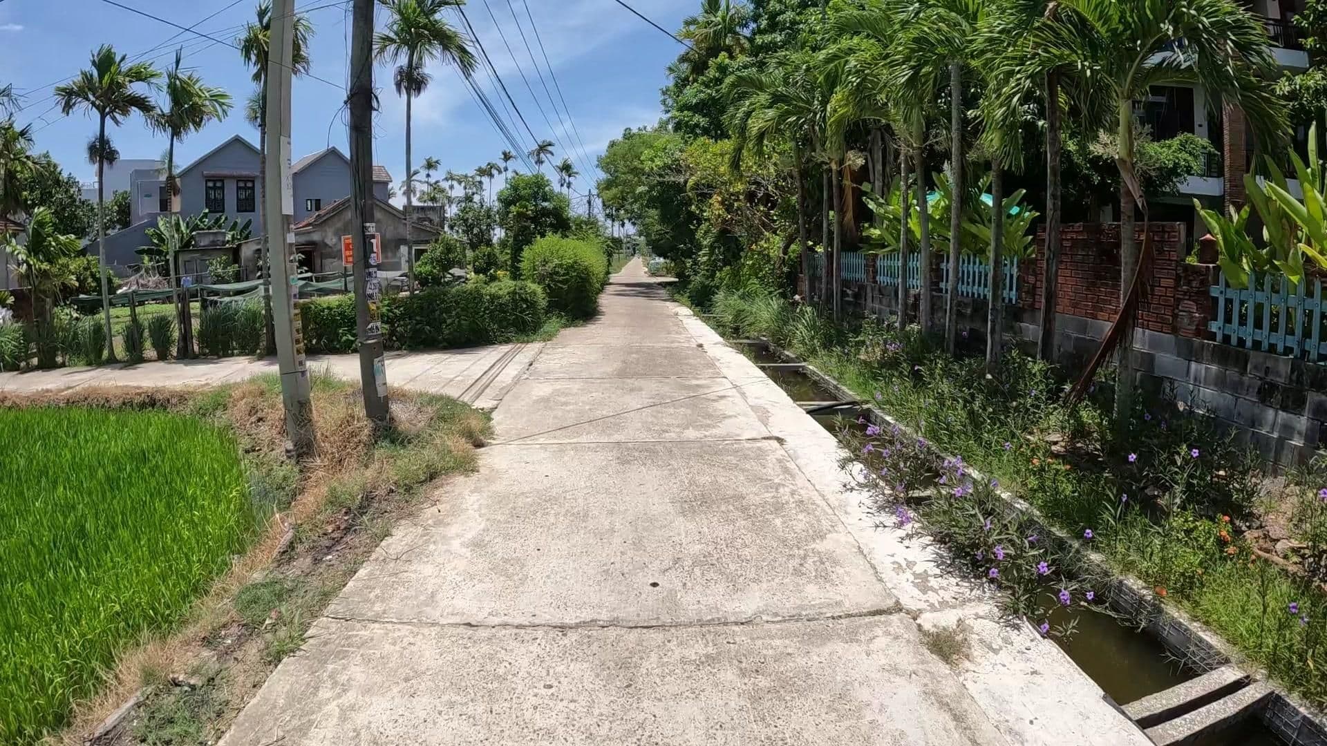 Street view near Golden Rice Villa, Tra Que Vegetable Village — © lucomsky (CC BY-SA · Mapillary)