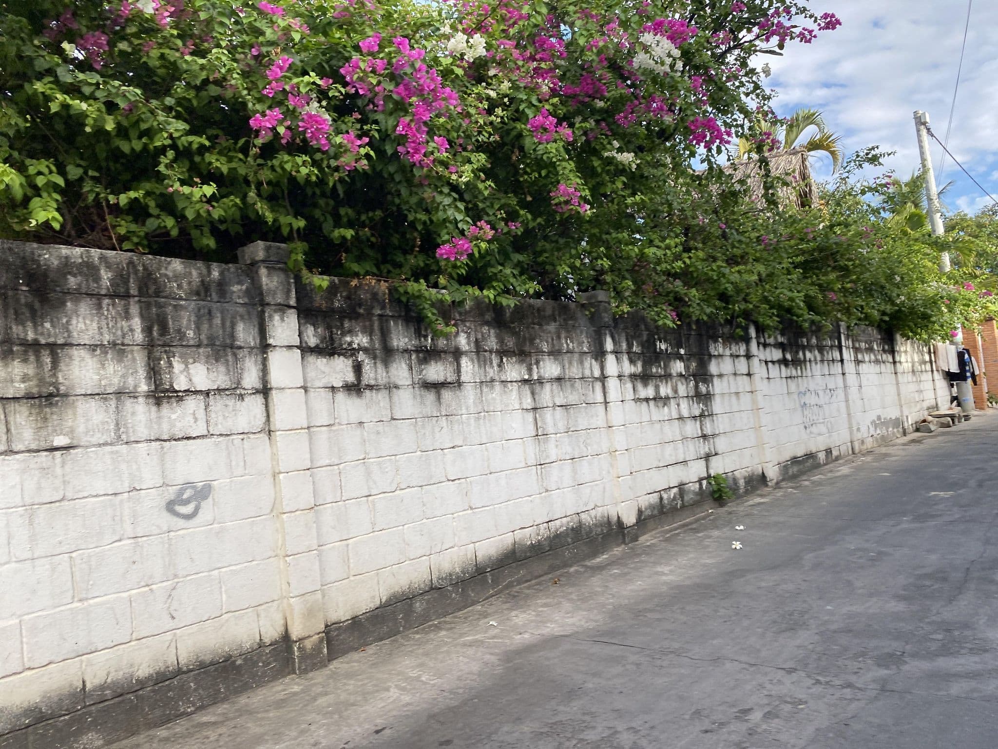 Street view near Whale Village Guesthouse (Làng Cá Voi), Mui Ne — © vadi (CC BY-SA · Mapillary)