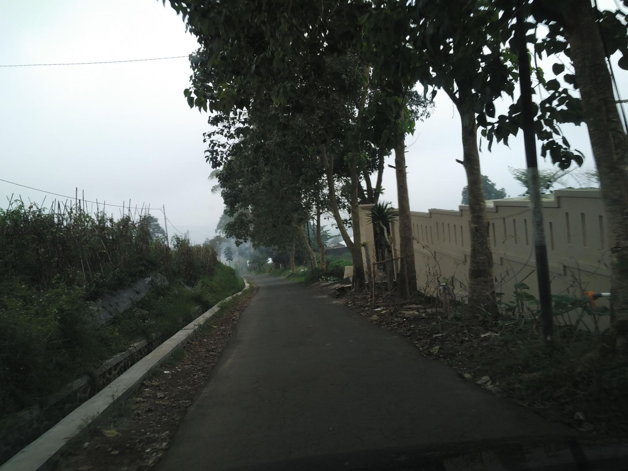 Street view near Nerine's Glamping Village Cipanas Puncak, Cianjur — © roadroid (CC BY-SA · Mapillary)