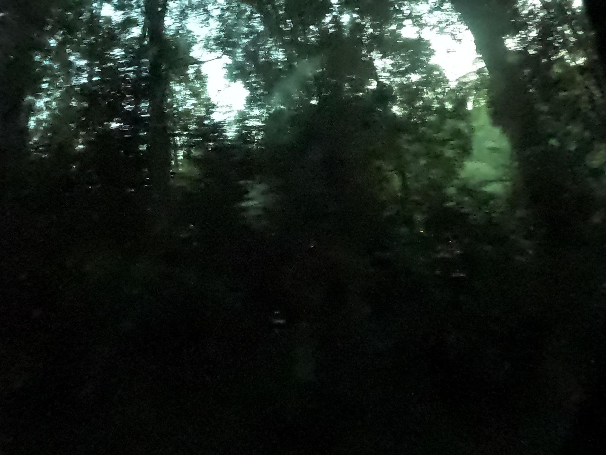 Street view near Bungalow Zebra Taman Safari, Caringin — © rgtm_ryuiki (CC BY-SA · Mapillary)