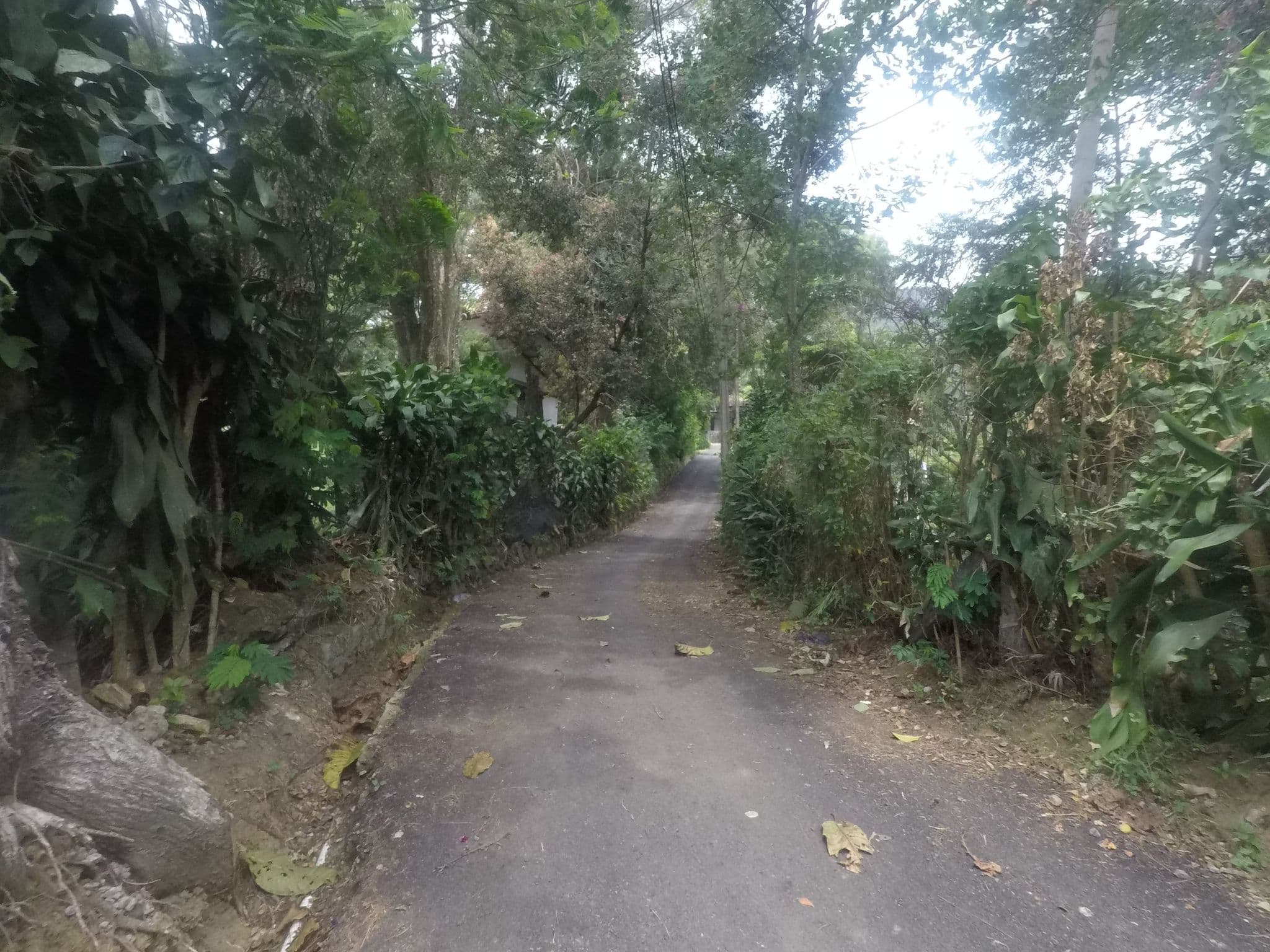 Street view near Villa Dofina, Caringin — © hannurahosea (CC BY-SA · Mapillary)