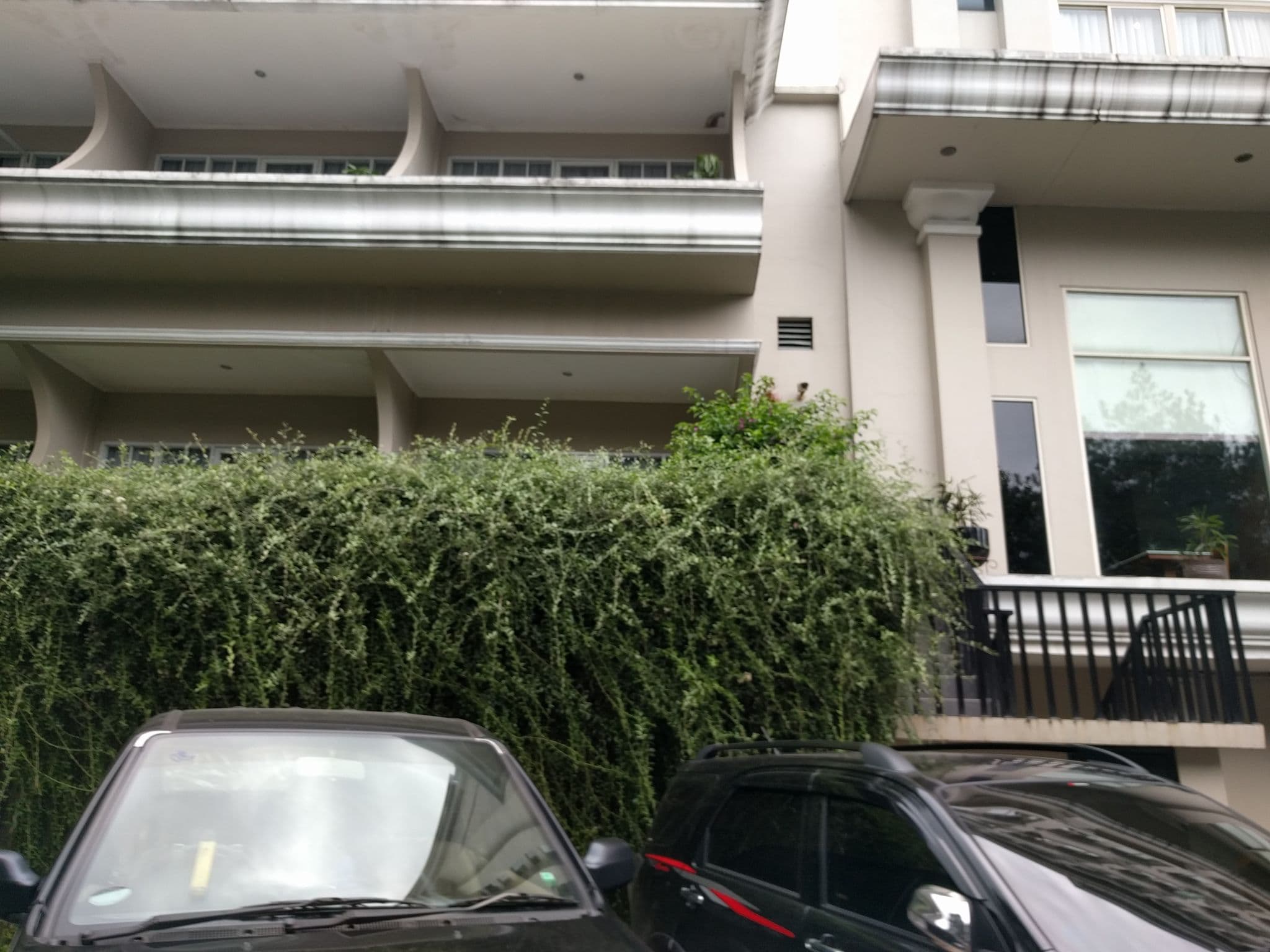 Street view near Royal Padjajaran Hotel, Bogor — © tfachrina (CC BY-SA · Mapillary)