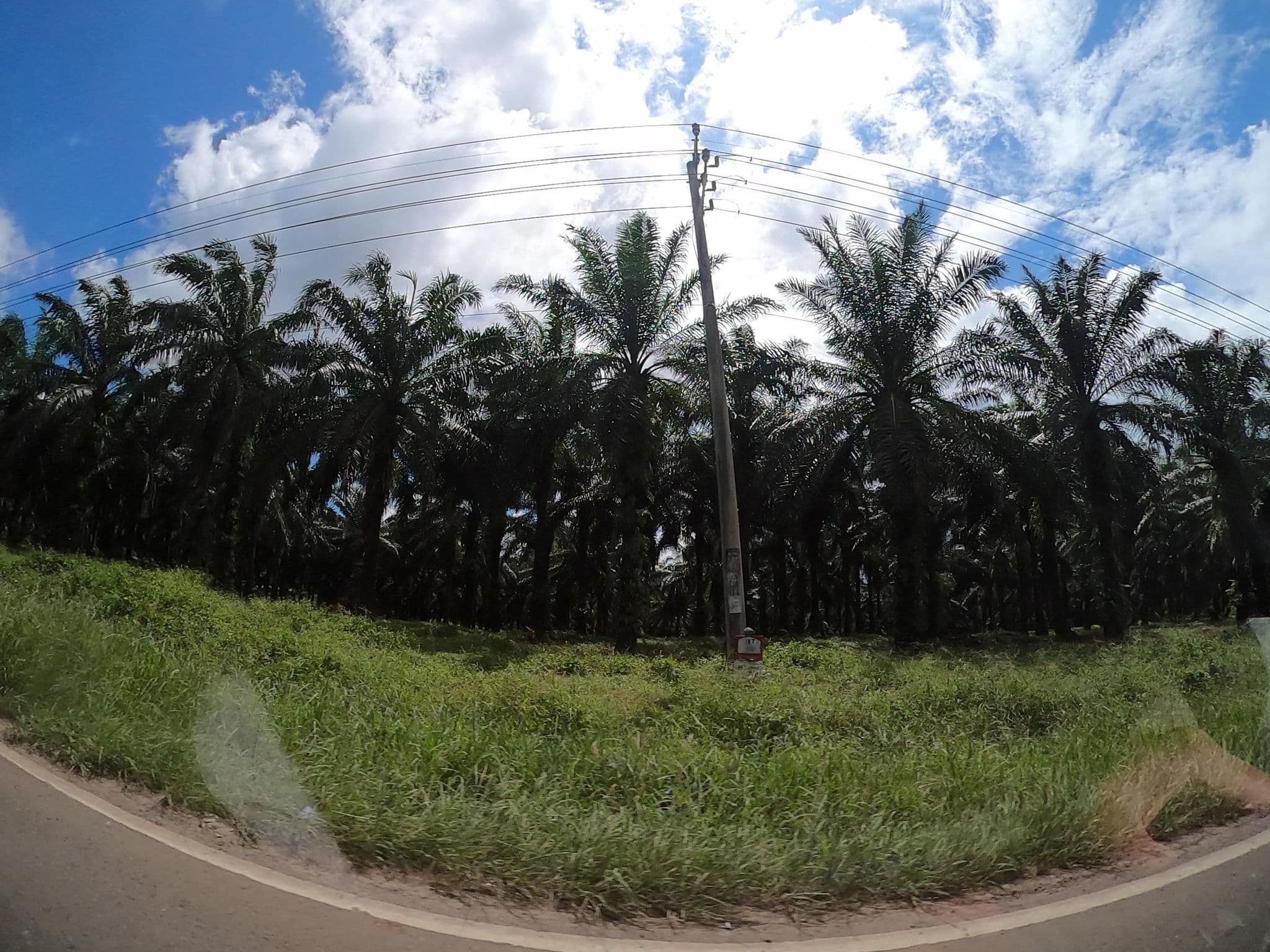 Street view near Penginapan Rangkasbitung, Rangkasbitung — © rgtm_ryuiki (CC BY-SA · Mapillary)