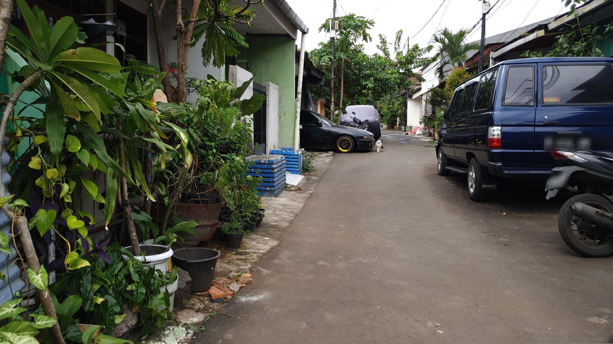 Street view near Boarding School, South Tangerang — © Kaart_Local (CC BY-SA · Mapillary)