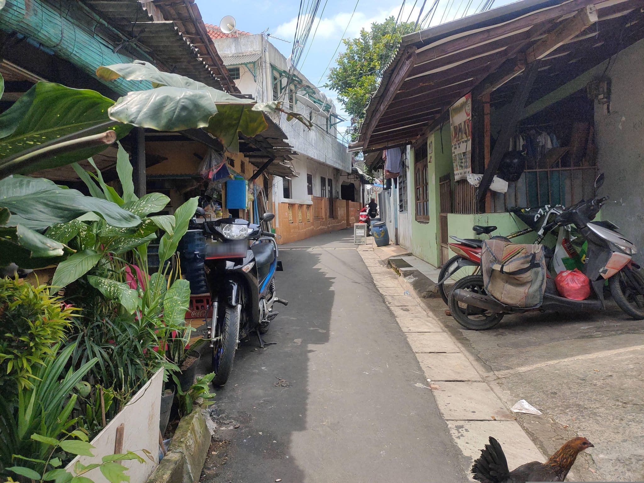 Street view near Pondok Gembyang, Ciwidey - Bandung, Jakarta — © Kaart_Local (CC BY-SA · Mapillary)