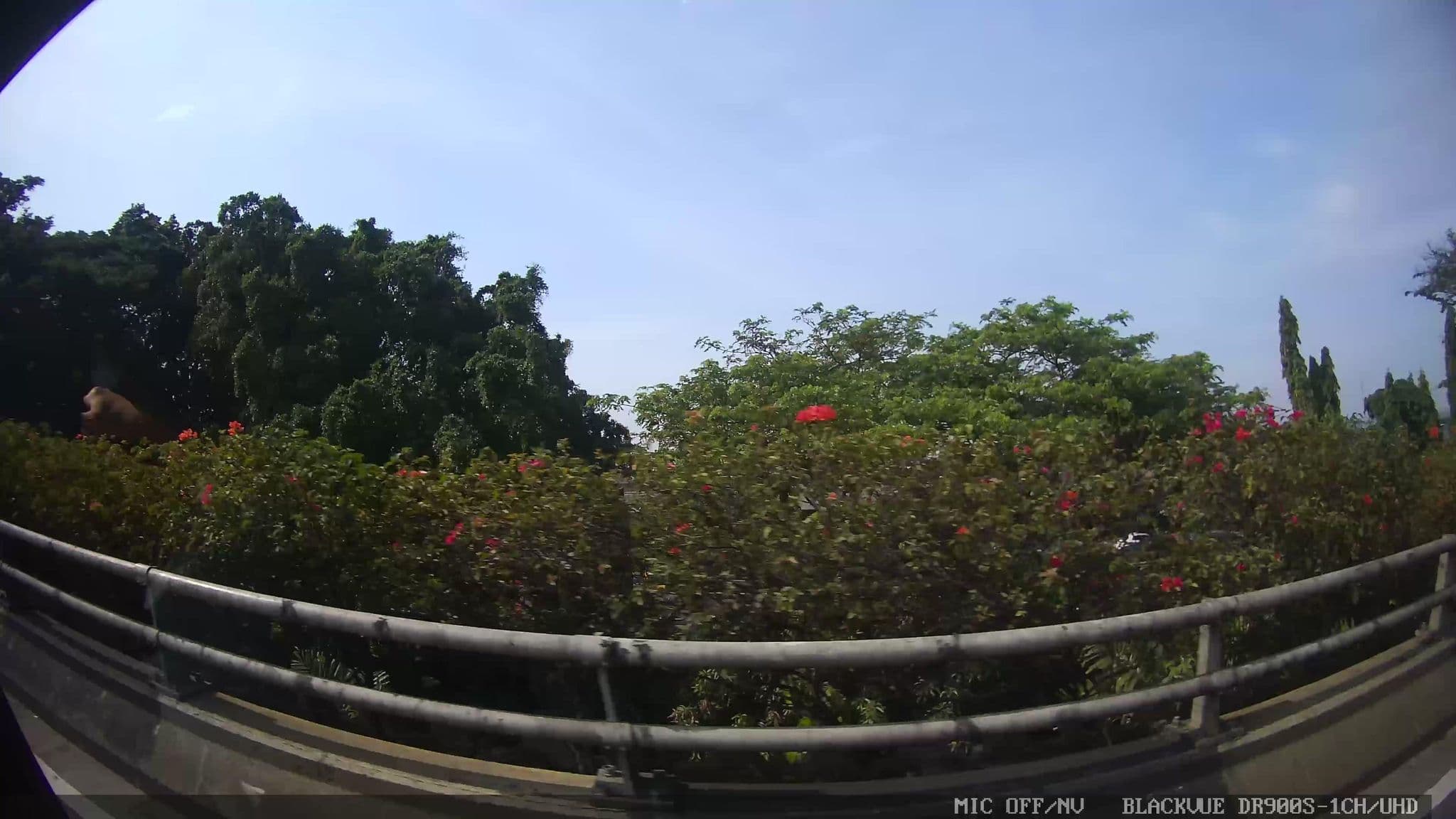 Street view near Hotel Bidakara Jakarta, Jakarta — © Kaart---RIGHT (CC BY-SA · Mapillary)