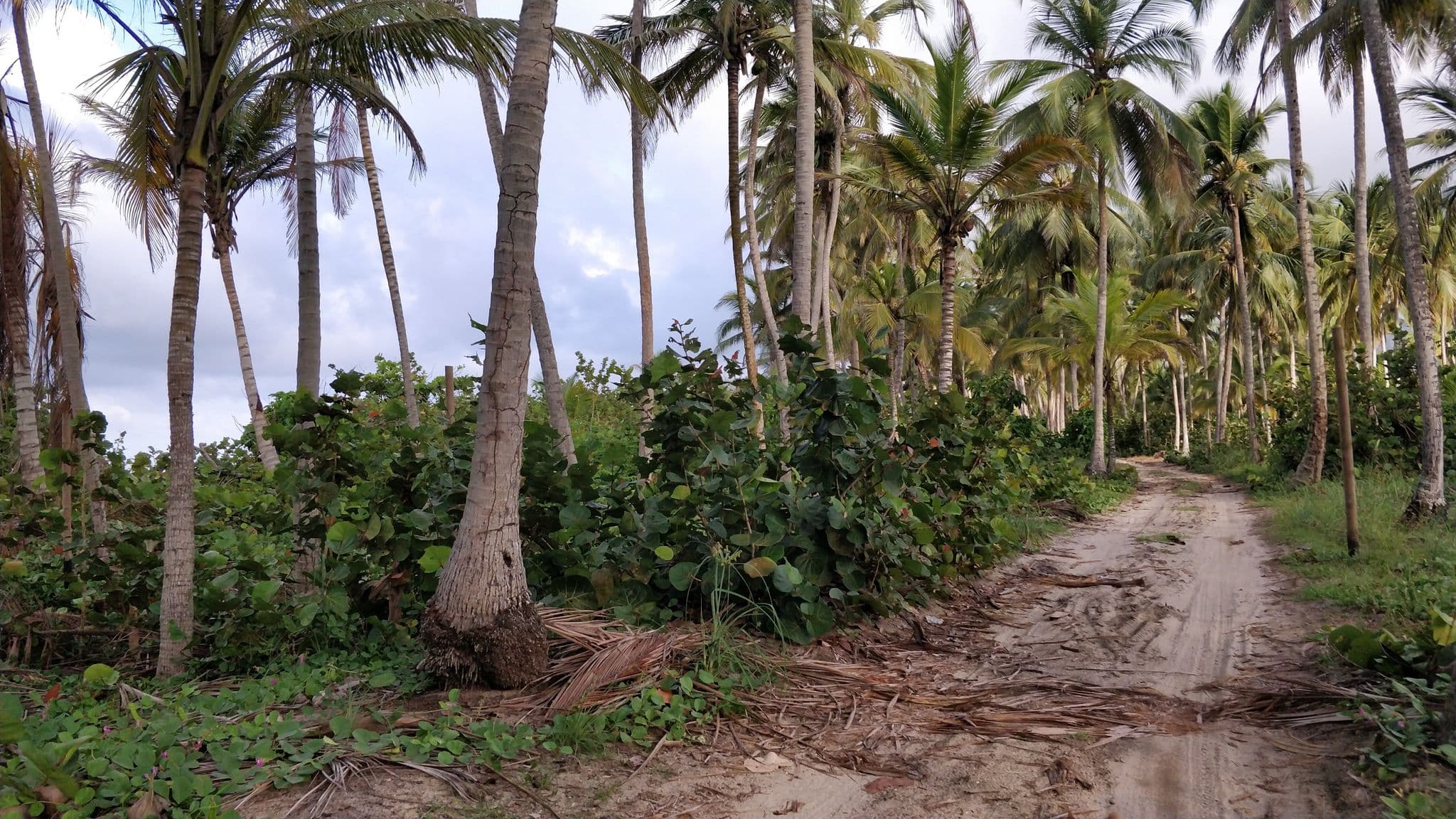 Street view near Lote 10 Glamping, Santa Marta