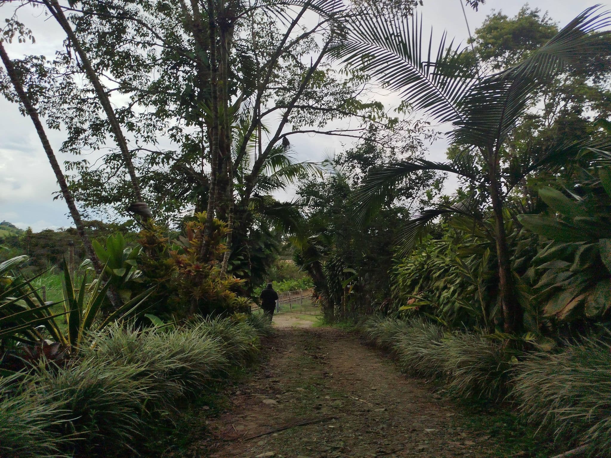 Street view near Finca Villa Juanse, Yumbo — © Empanada (CC BY-SA · Mapillary)