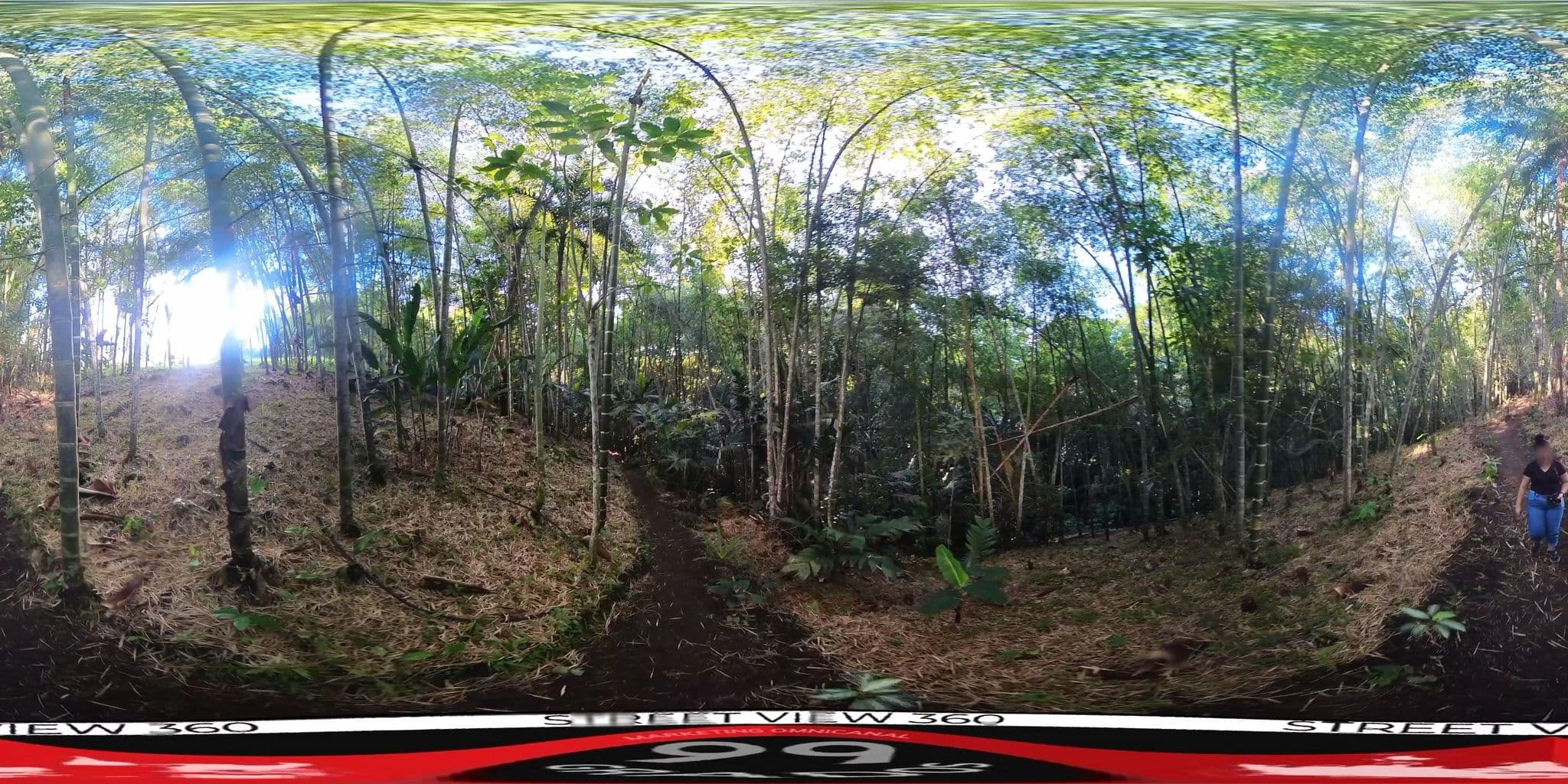 Street view near Casa, La Tebaida — © 99Grados (CC BY-SA · Mapillary)