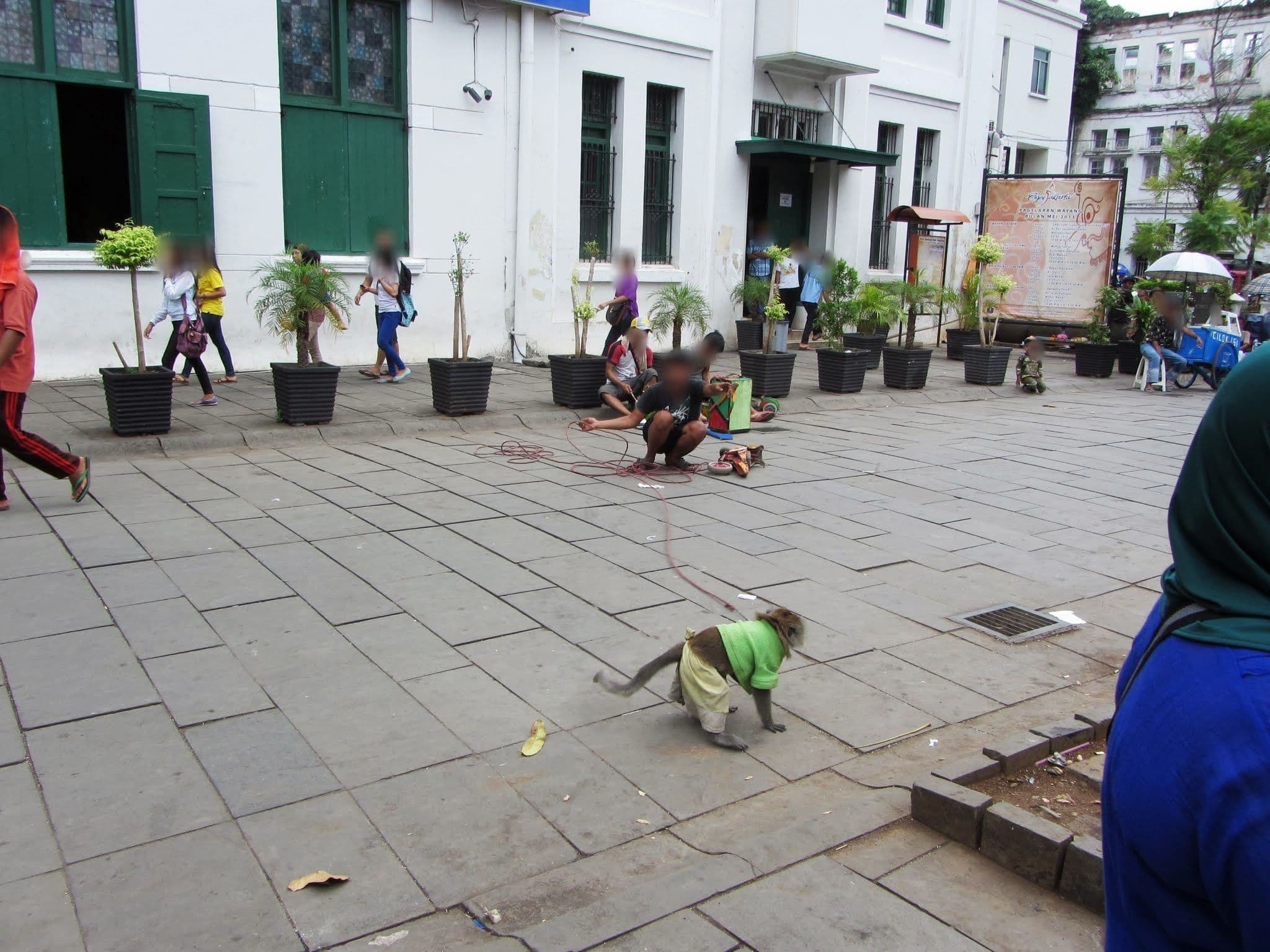 Street view near Hotel santika jemursari, Jakarta — © micmin1972 (CC BY-SA · Mapillary)