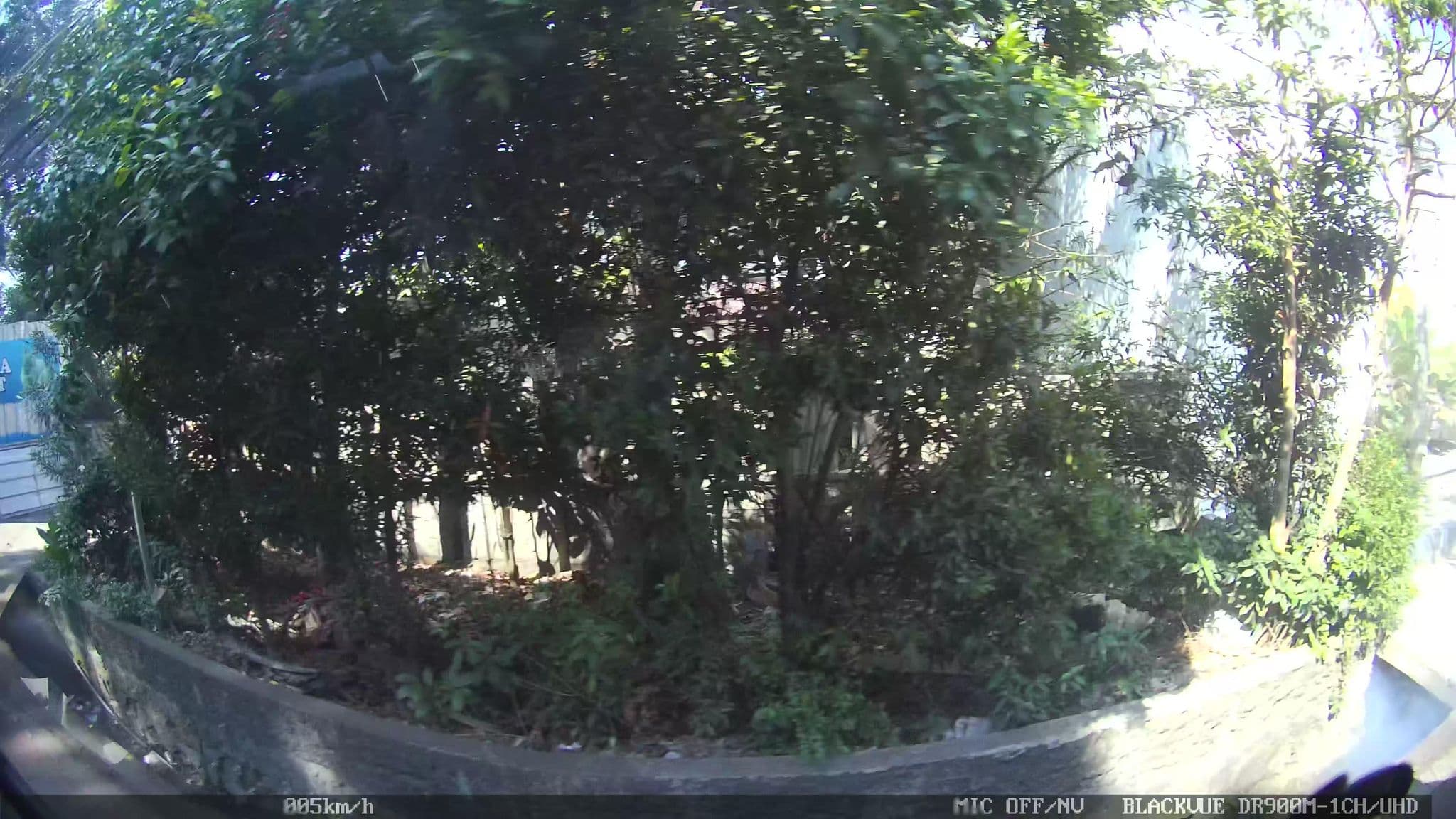 Street view near Room 227, Bandung — © kaart5 (CC BY-SA · Mapillary)