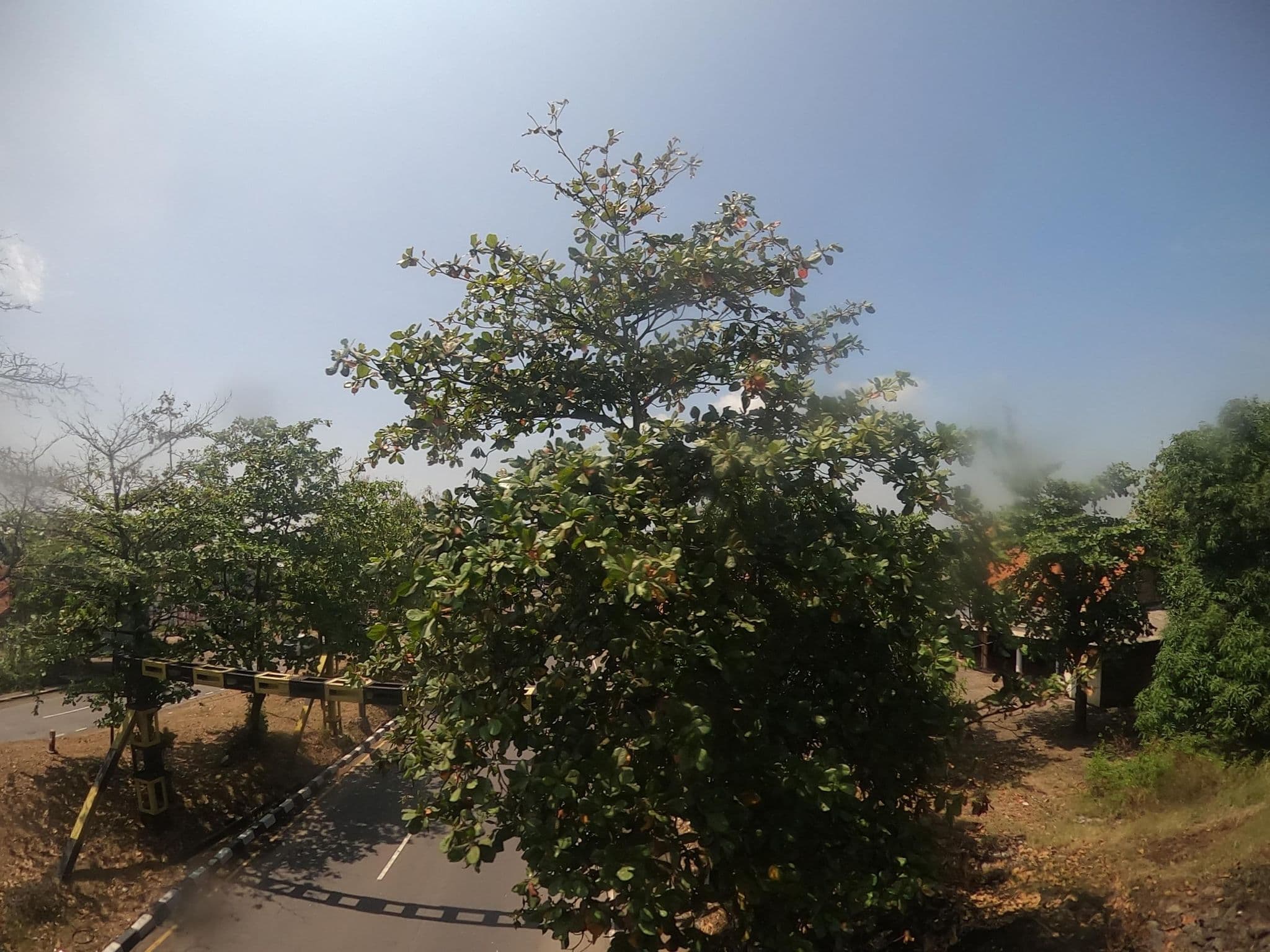 Street view near Kampung papap, Jatibarang — © rgtm_ryuiki (CC BY-SA · Mapillary)