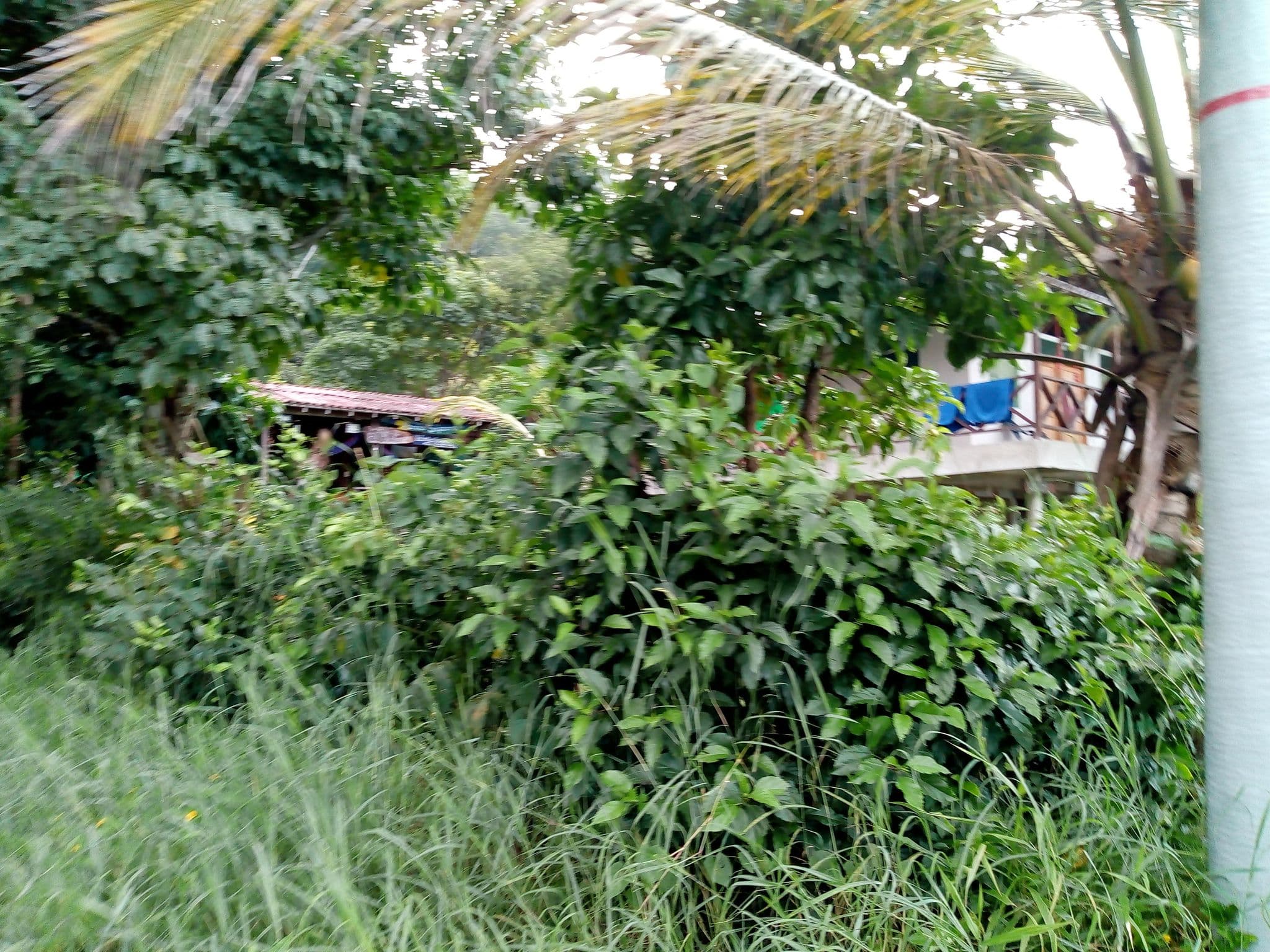 Street view near El Chileno, Capurganá — © kleper (CC BY-SA · Mapillary)