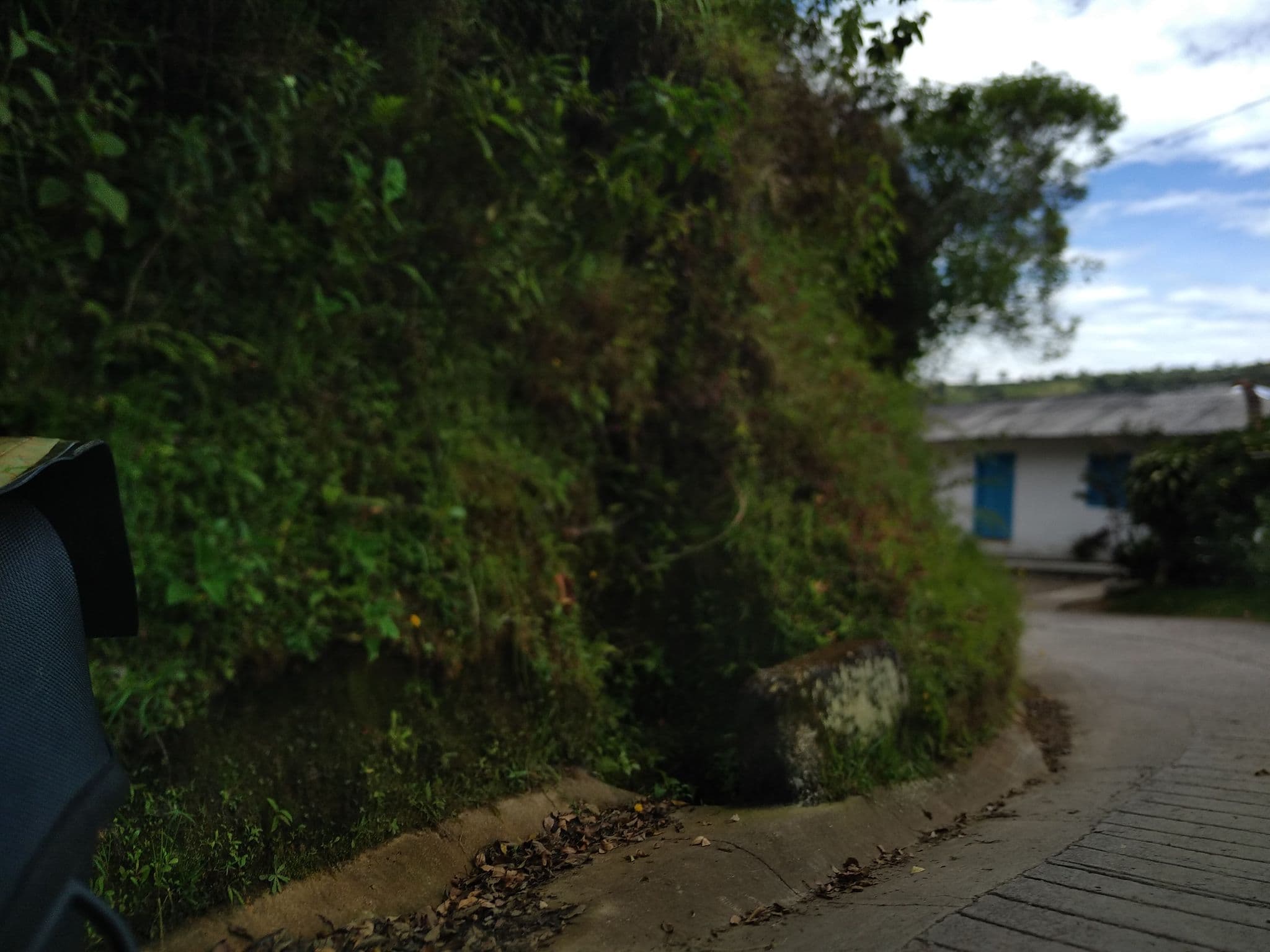 Street view near Los Naranjos, Salento — © nomadmapper (CC BY-SA · Mapillary)
