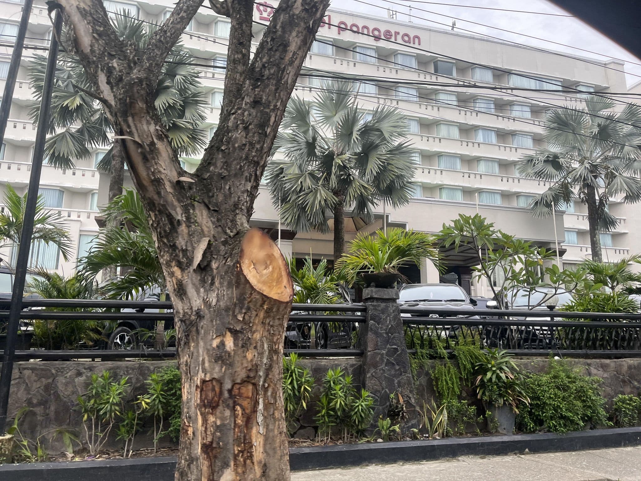 Street view near Hotel Pangeran Resto, Pekanbaru — © haneststs (CC BY-SA · Mapillary)