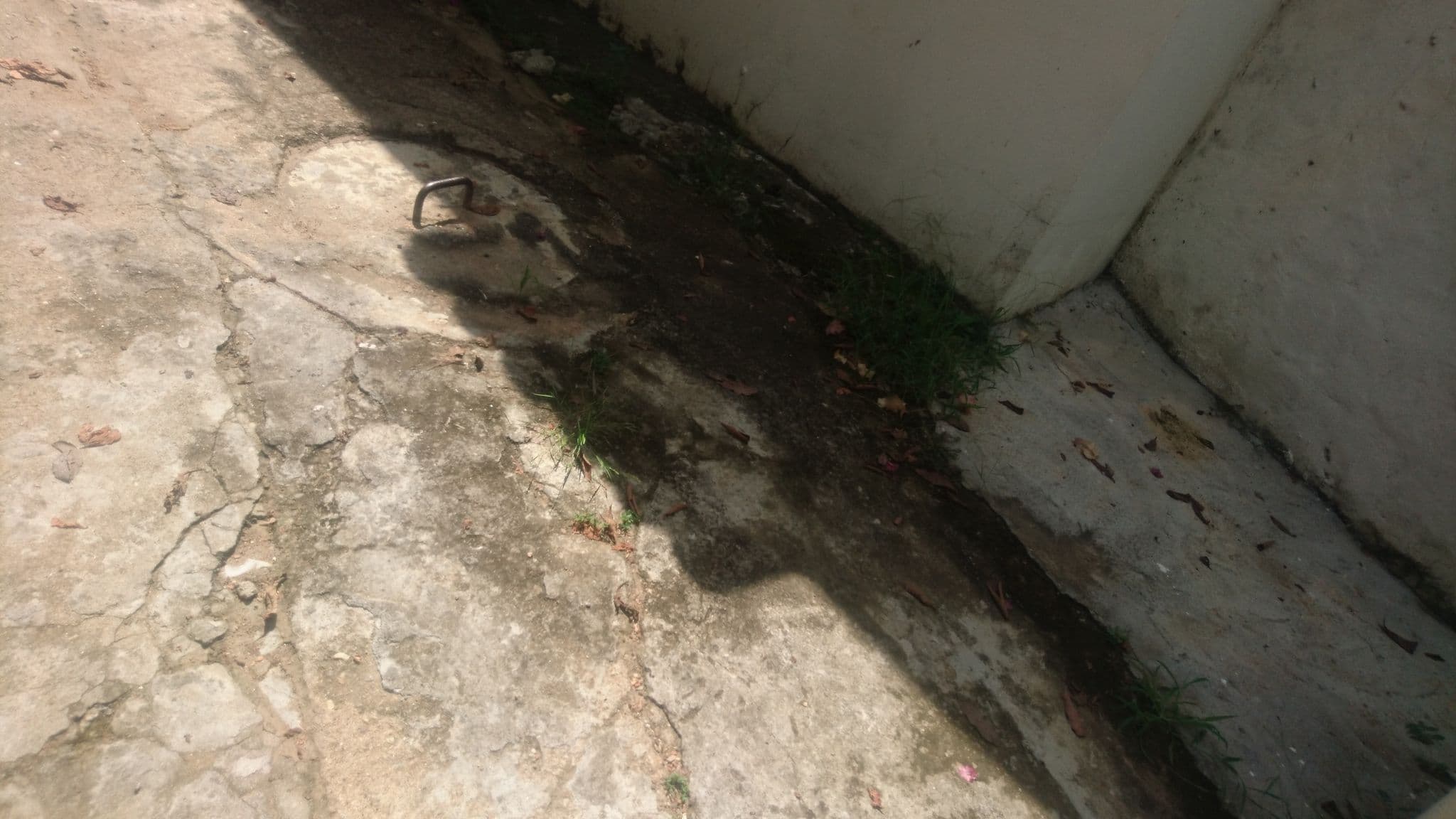 Street view near Aldea Plaza, Puerto Triunfo — © t0mmy (CC BY-SA · Mapillary)